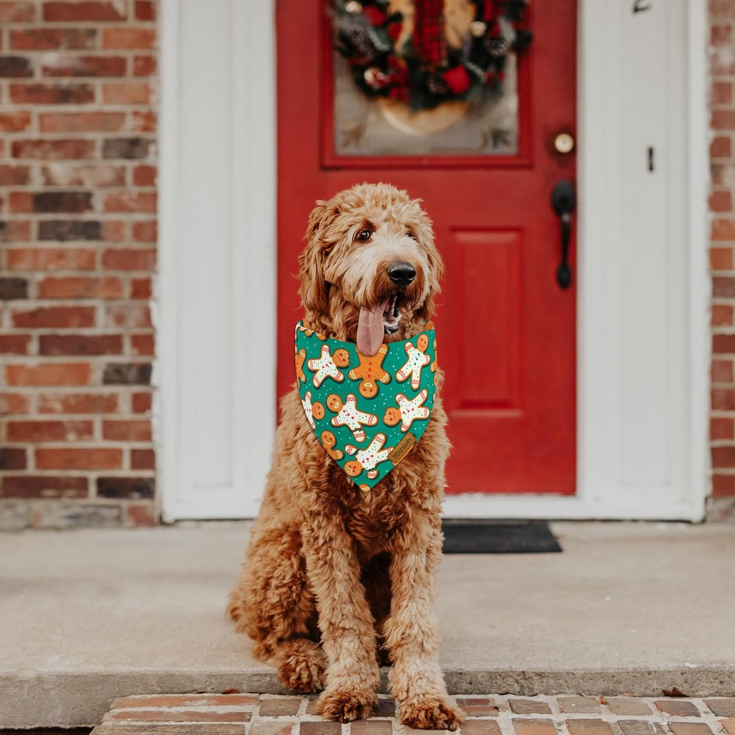 Christmas Dog Bandanas - 2 Pack Reversible Gingerbread Man Dog Scarf for Boy & Girl, Premium Durable Fabric, Festival Dog Bib, Holiday Bandana for Medium & Large Dogs (Large)