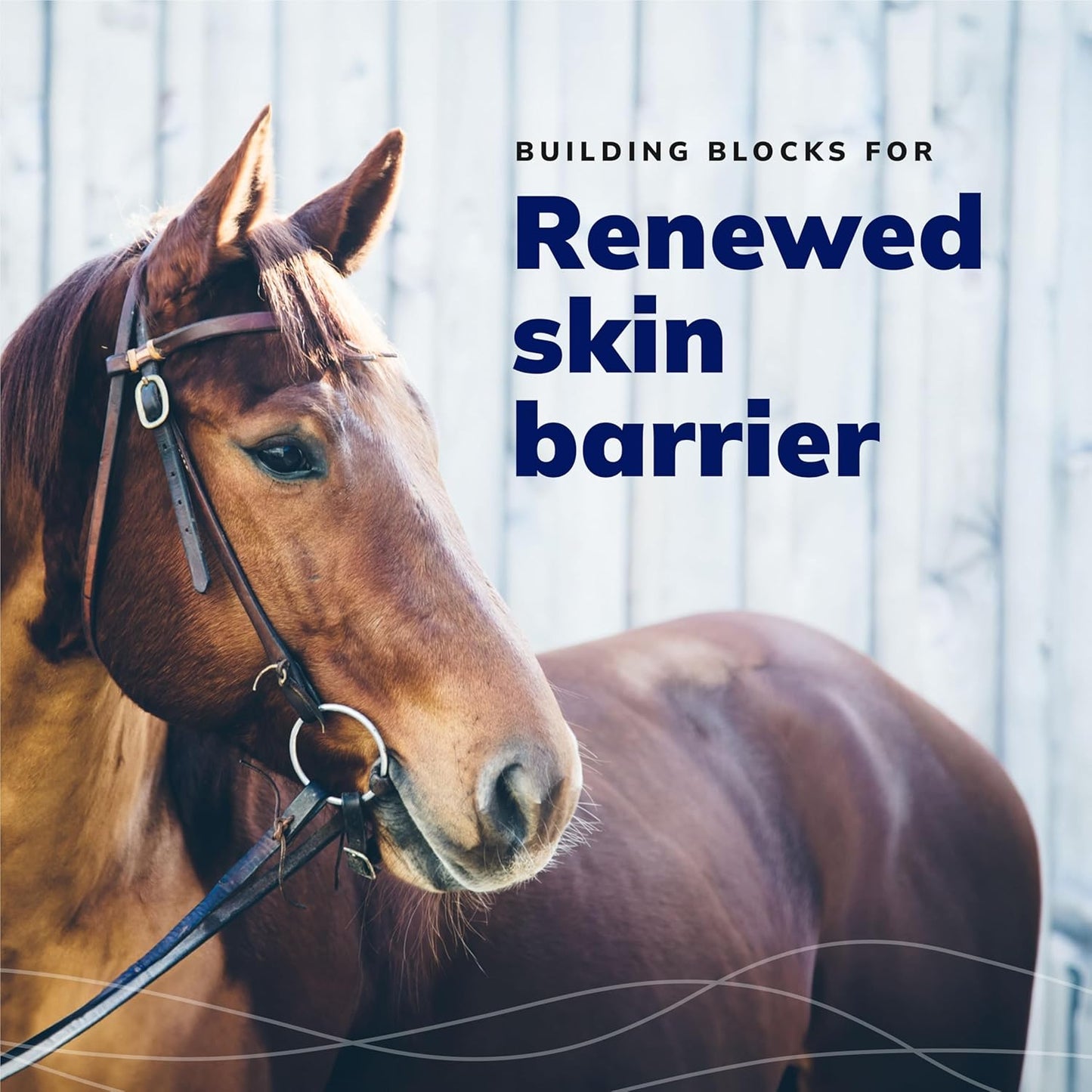 CeraSoothe® CHX+MC Antiseptic Shampoo 16oz