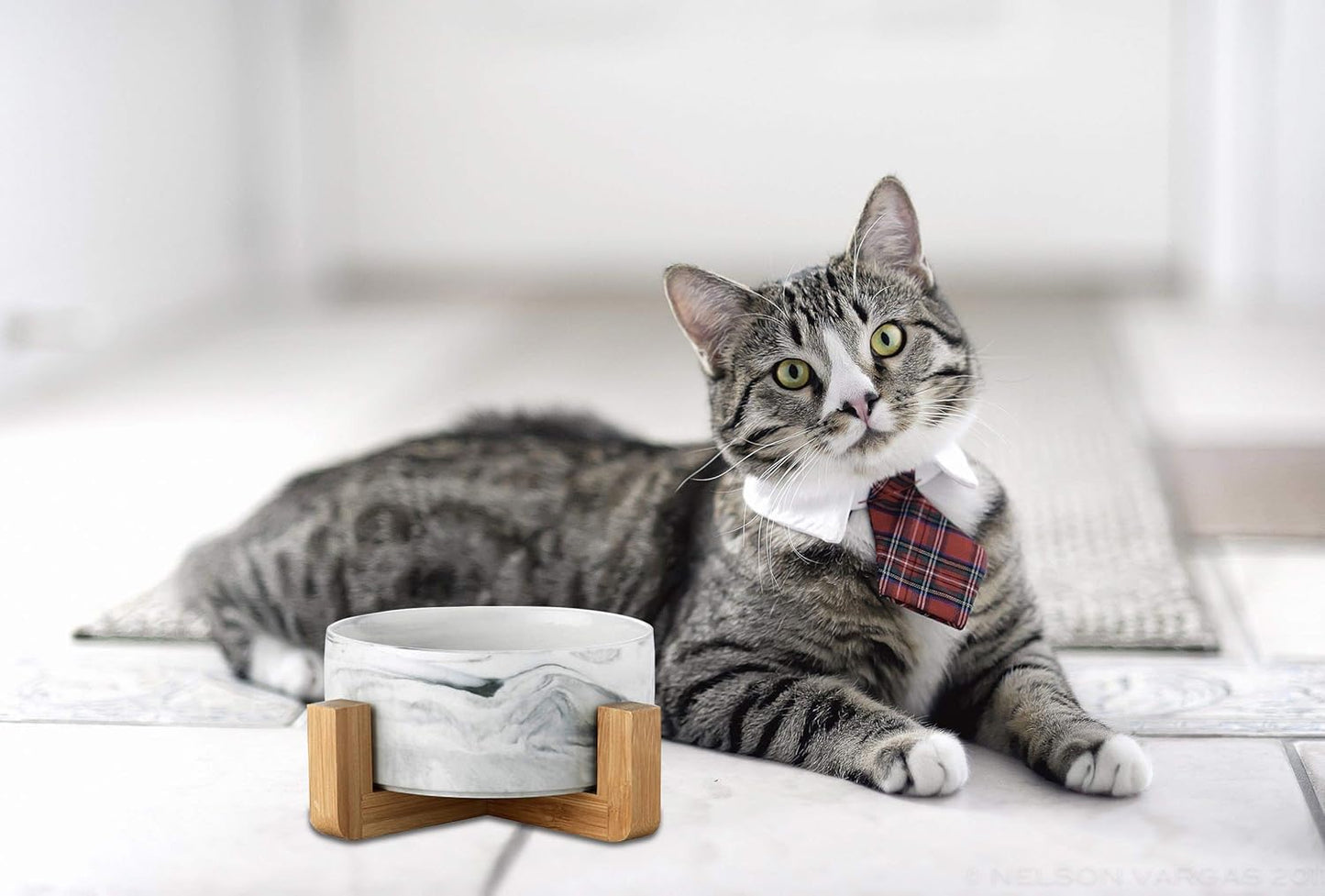 Ceramic Pet Bowls with Stand - Dog Cat Water Bowl and Food Dish -Heavy Weighted & No Tip Over Pet Comfort Feeding Bowls -Dishwasher Safe & Easy to Clean