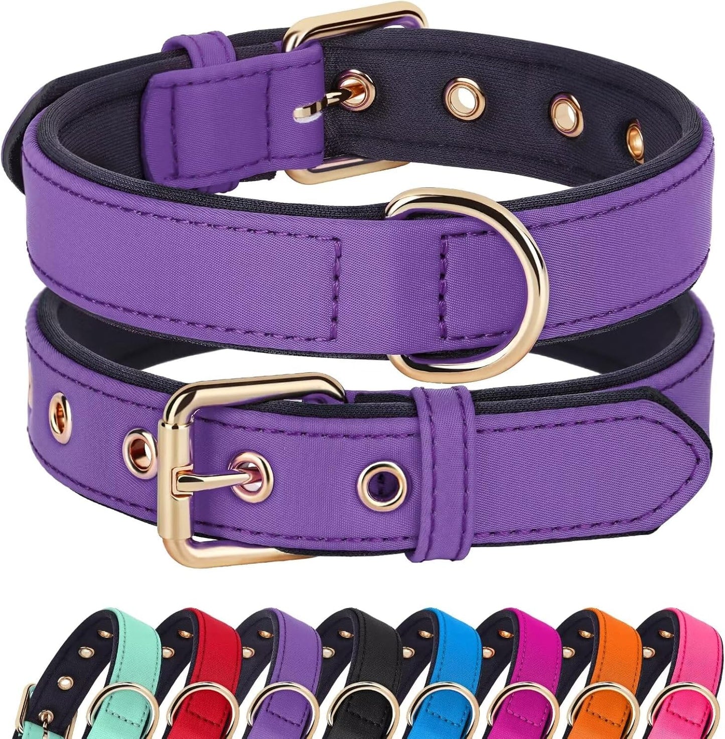Didog Soft Padded Dog Collars for Small Dogs, Lightweight and Breathable Purple Dog Collar with Metal Buckle, Purple, M