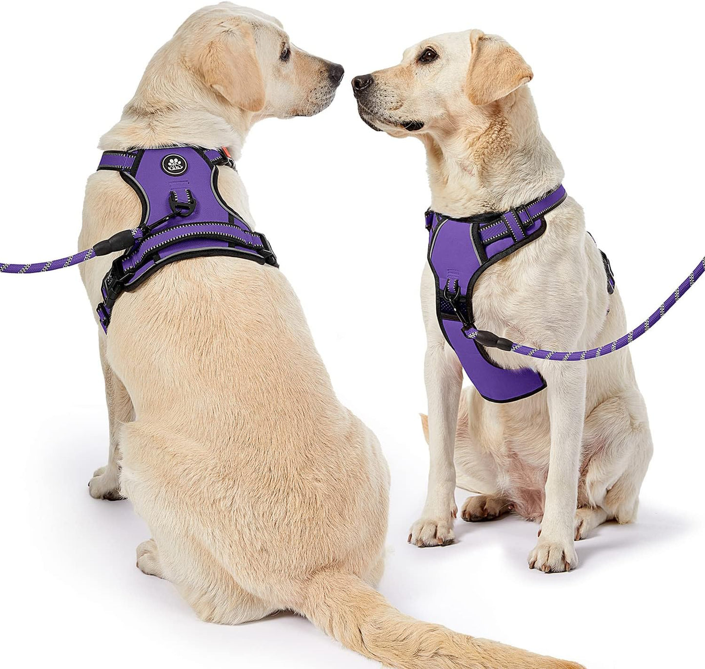 NESTROAD No Pull Dog Harness,Adjustable Oxford Dog Vest Harness with Leash,Reflective No-Choke Pet Harness with Easy Control Soft Handle for Small Medium Dogs(Medium,Purple)