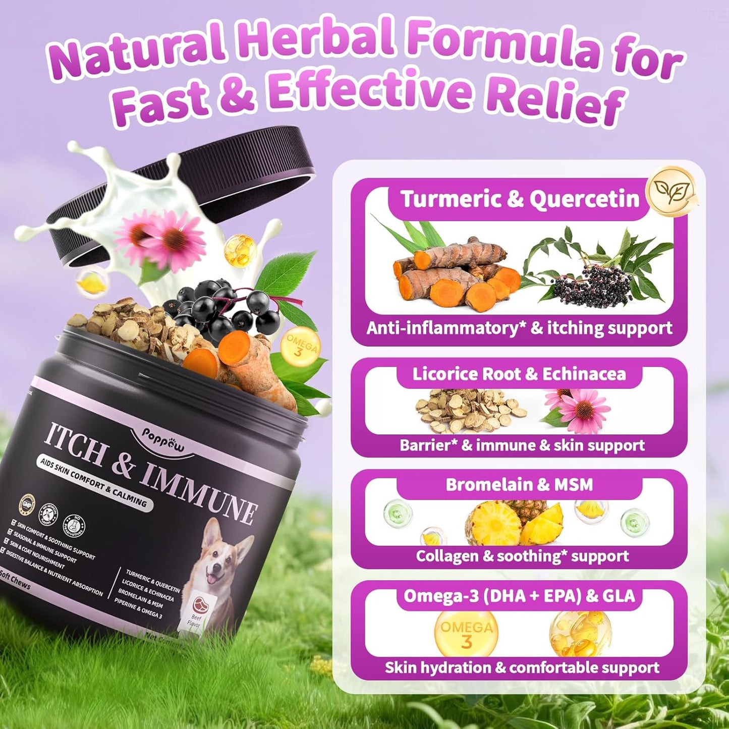 Dog Allergy Relief Chews, Itch Relief for Dogs – Turmeric & Omega-3 Supplements for Skin Comfort, Coat Health & Seasonal Support, Immune Care with Biotin & Quercetin – Beef Flavor, 90 Count