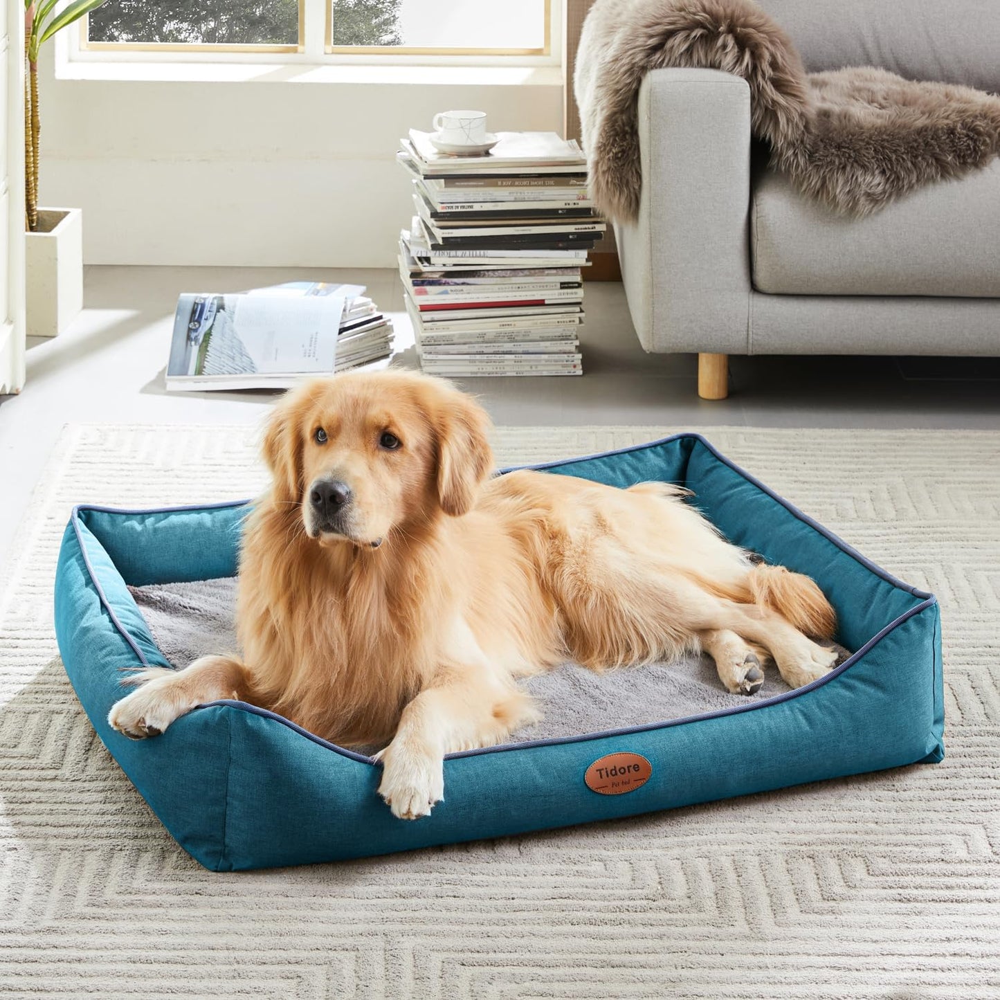 Orthopedic Dog Beds for Medium Dogs, Durable Egg Crate Foam Sofa Dog Bed wit Washable Removable Cover,Waterproof Lining,Pet Bed for Large Dogs (Peacock Blue, 39.4" L x 31.5" W x 7.4" Th)