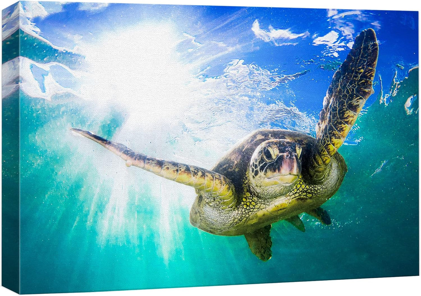 wall26 Canvas Print Wall Art Sunlight Tropical Ocean Underwater Turtle Nature Animals Photography Realism Rustic Scenic Landscape Wilderness Earth Colorful for Living Room, Bedroom, Office - 24"x36"