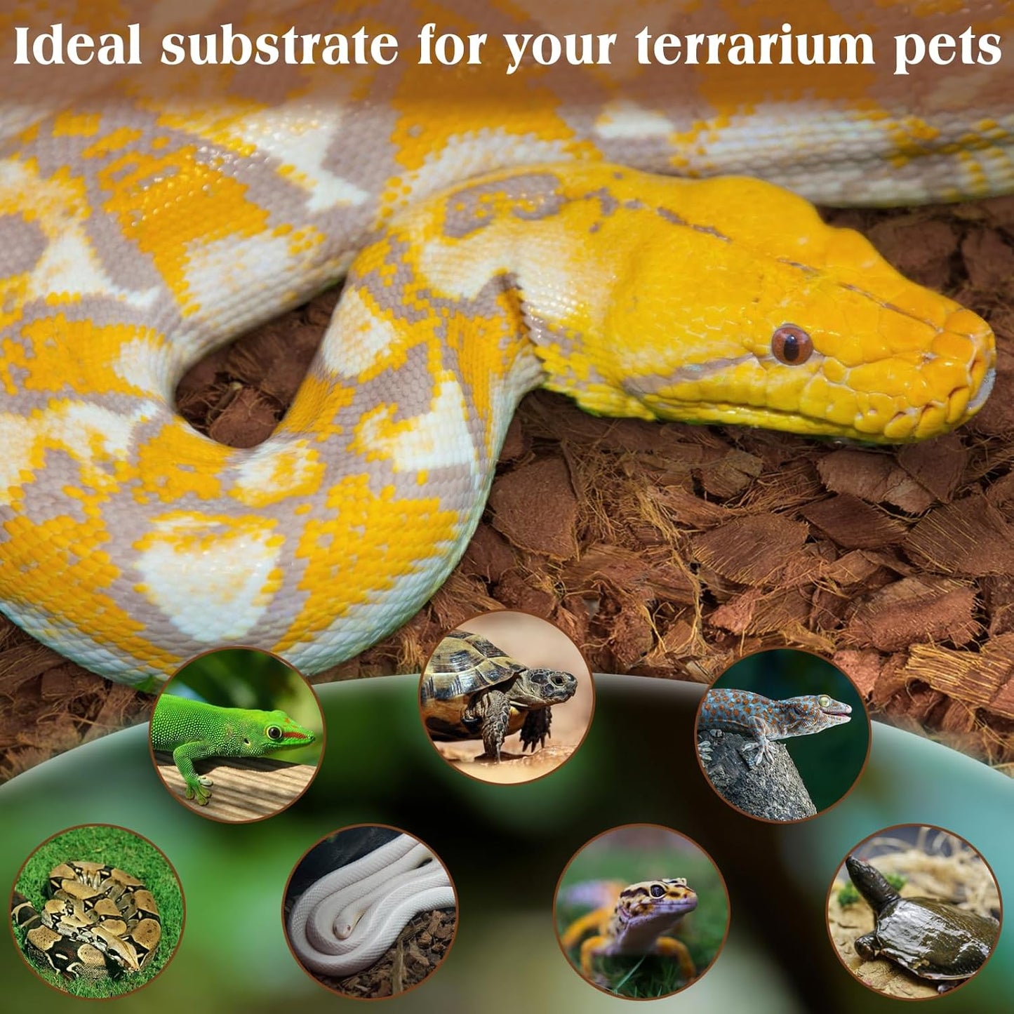 ZeeDix 10LB Coco Fiber Chips Substrate for Reptiles, 72 Quart Coconut Fiber Husk Substrate Mulch Coco Chips Bricks Reptiles Bedding for Geckos, Lizards, Tortoises, Ball Python, Frogs