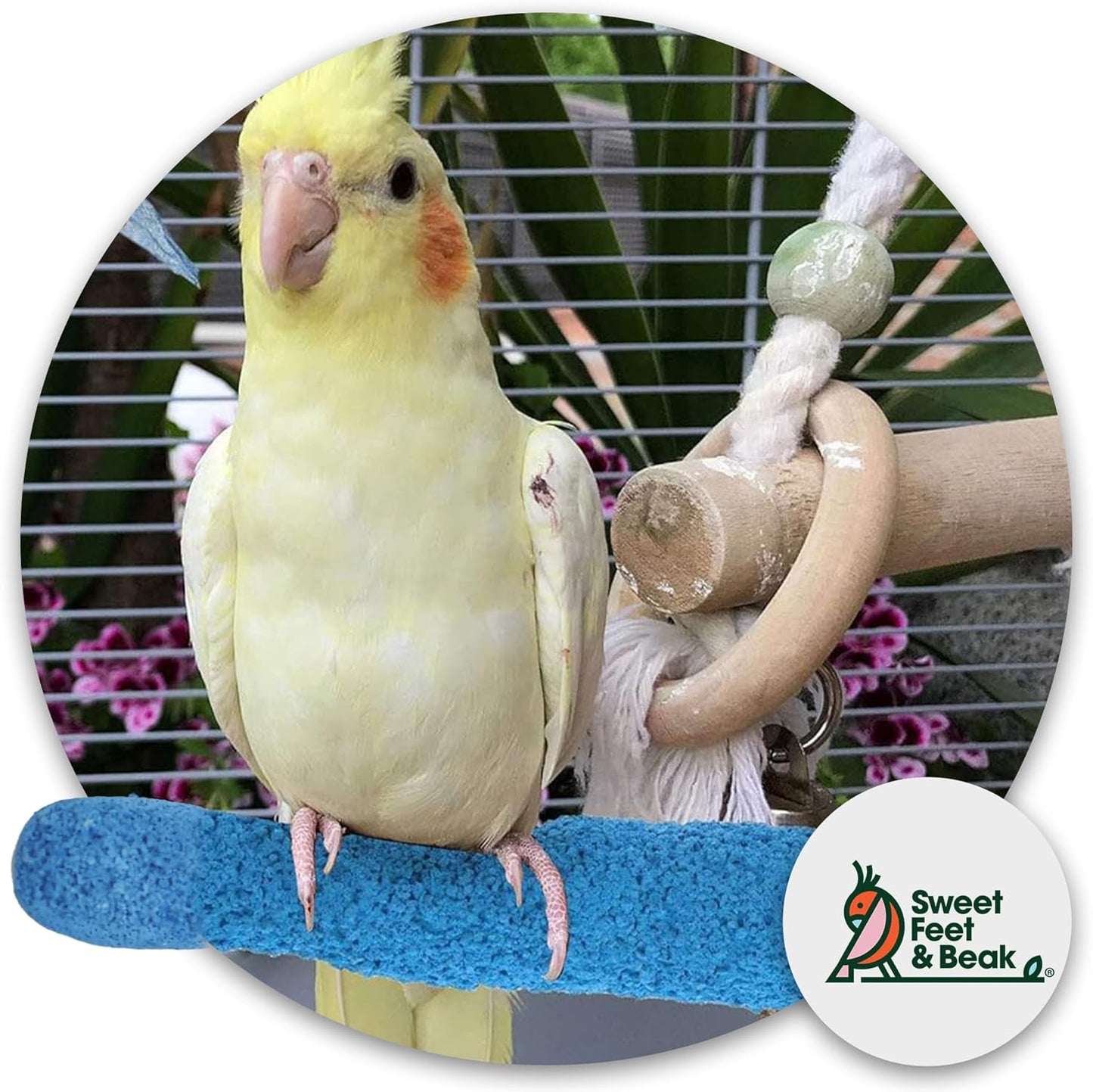 Comfort Grip Safety Perch for Bird Cages - Pedicure Perch for Birds to Keep Nails and Beaks in Top Condition - Safe Easy to Install Bird Cage Accessories - Small 6.5"