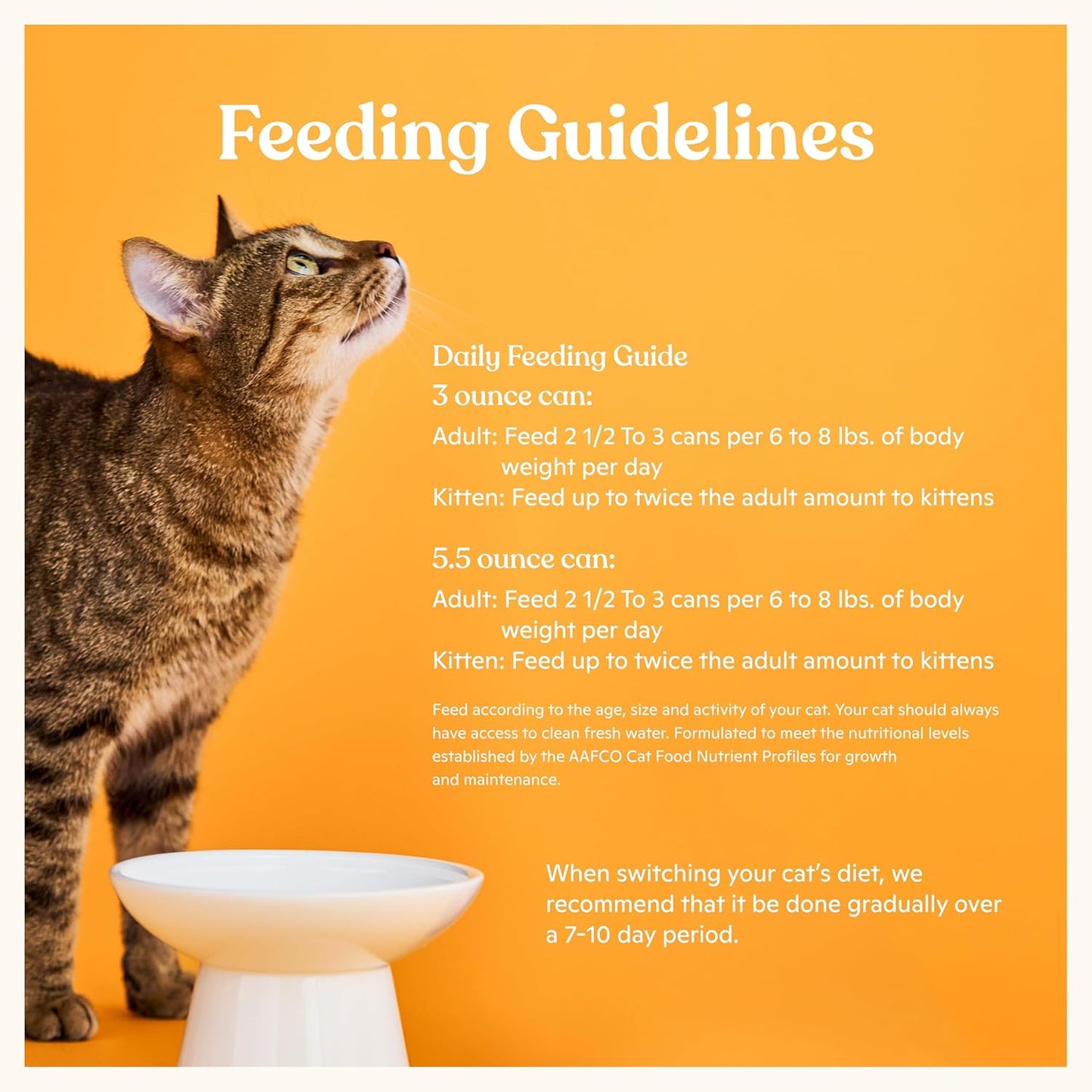 Made by Nacho Flaked Filets Recipe in Bone Broth, Grain-Free Chef's Selects Wet Food for Cats Balanced Diet in Naturally Hydrating Pumpkin-Infused Broth (3.0 oz (Pack of 12), Chicken & Tuna)