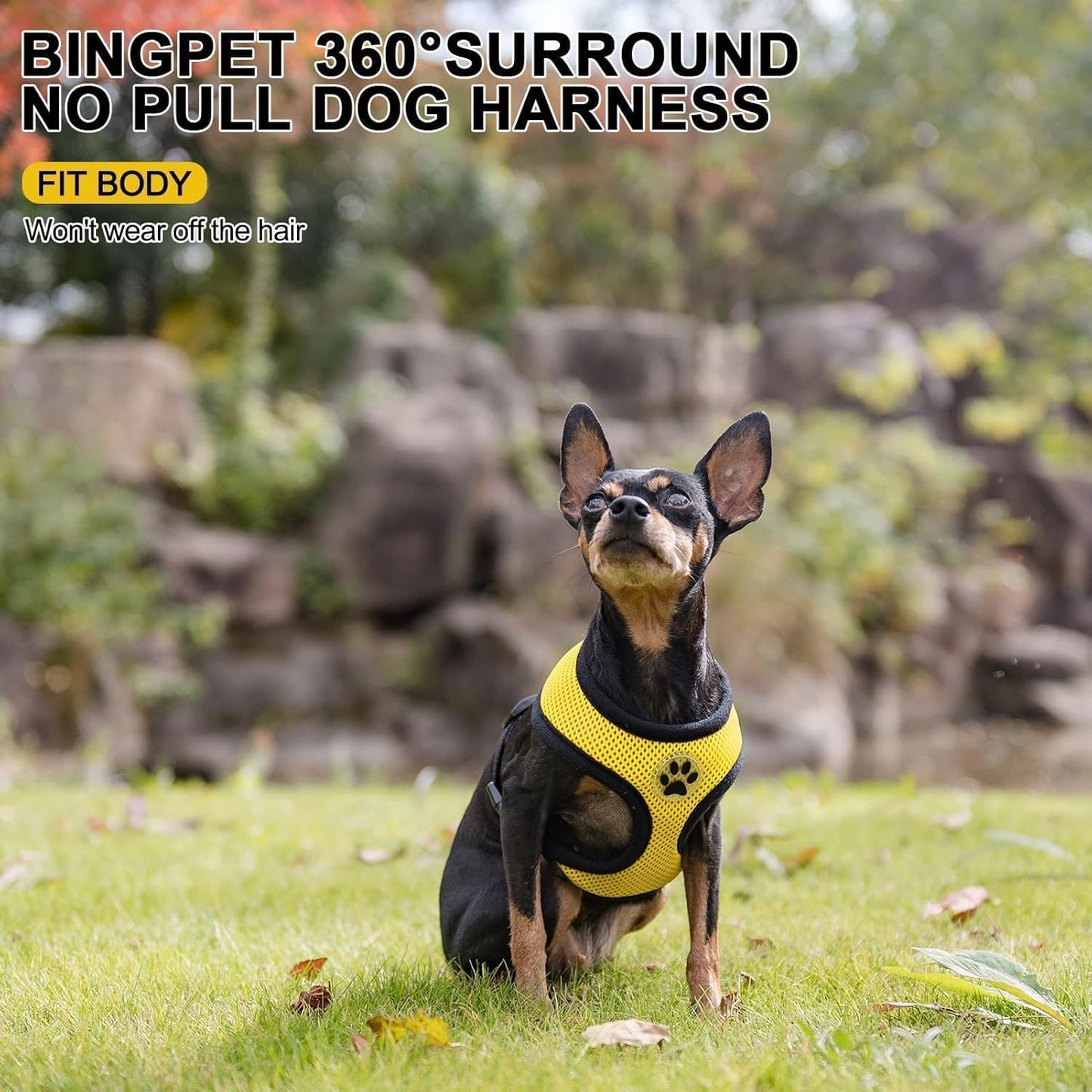 BINGPET No Pull Dog Harness,Soft Mesh Breathable All Weather Vest Harness,Safety Protection Design Durable Adjustable Step-in Easy Walk Dog Harness for Small Medium Large Dogs(Yellow,S)