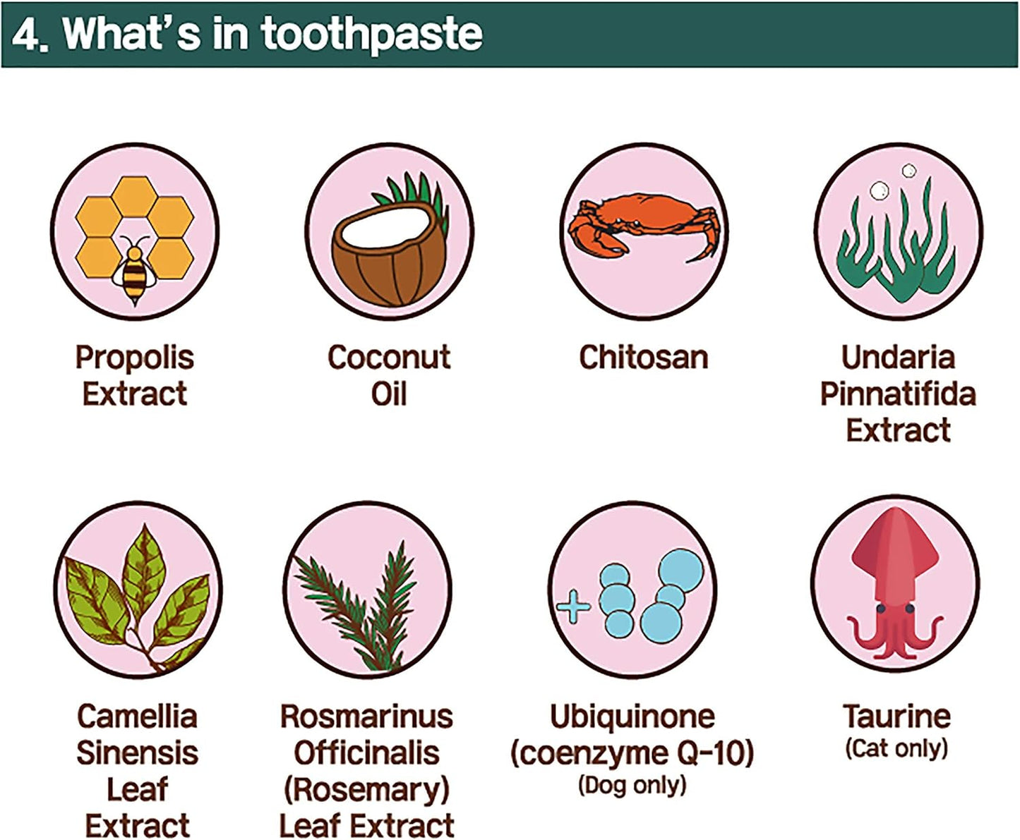 Cat Toothbrush & Toothpaste Kit – Flavor-Free Dental Gel for Cats – Finger Brush & Handle for Daily Oral Care – Plaque & Tartar Cleaning for Kittens and Adult Cats (1 Count, 1 Pack)