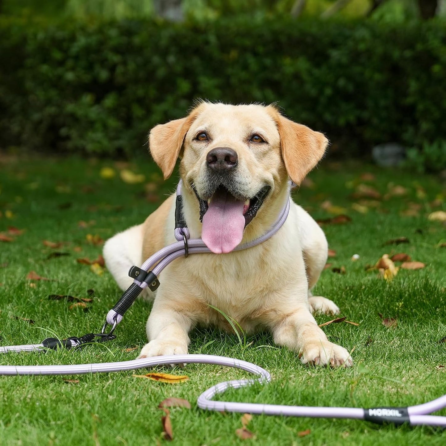 Rope Dog Leash, 4 ft Heavy Duty Dog Leash with Aviation Aluminum Auto Locking Carabiner, Strong Nylon Pet Lead for Small, Medium, Large Dogs (Brown, 4FT)