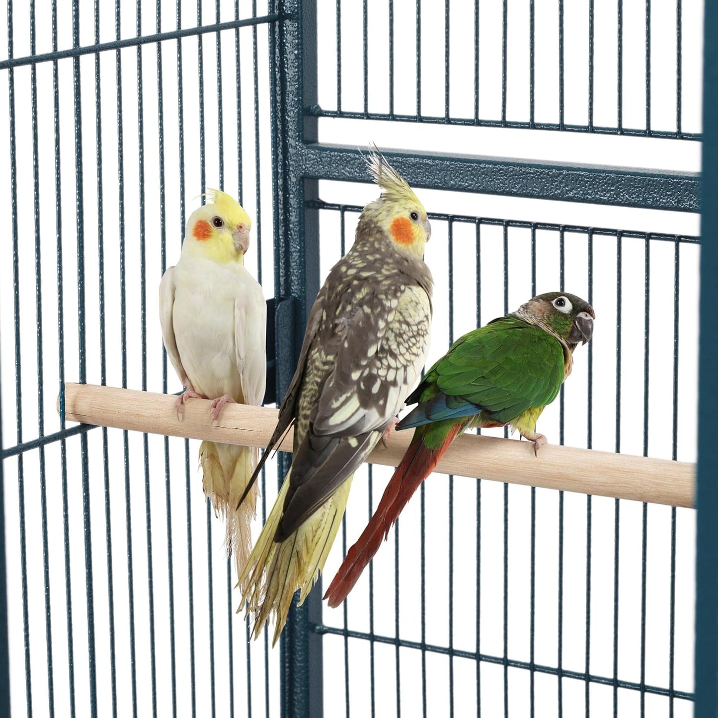 Yaheetech 54inch Metal Large Parrot Parakeet Flight Bird Cage w/Rolling Stand for Small Parrots Cockatiel Sun Parakeet Green Cheek Conure Lovebird Budgie Finch Canary