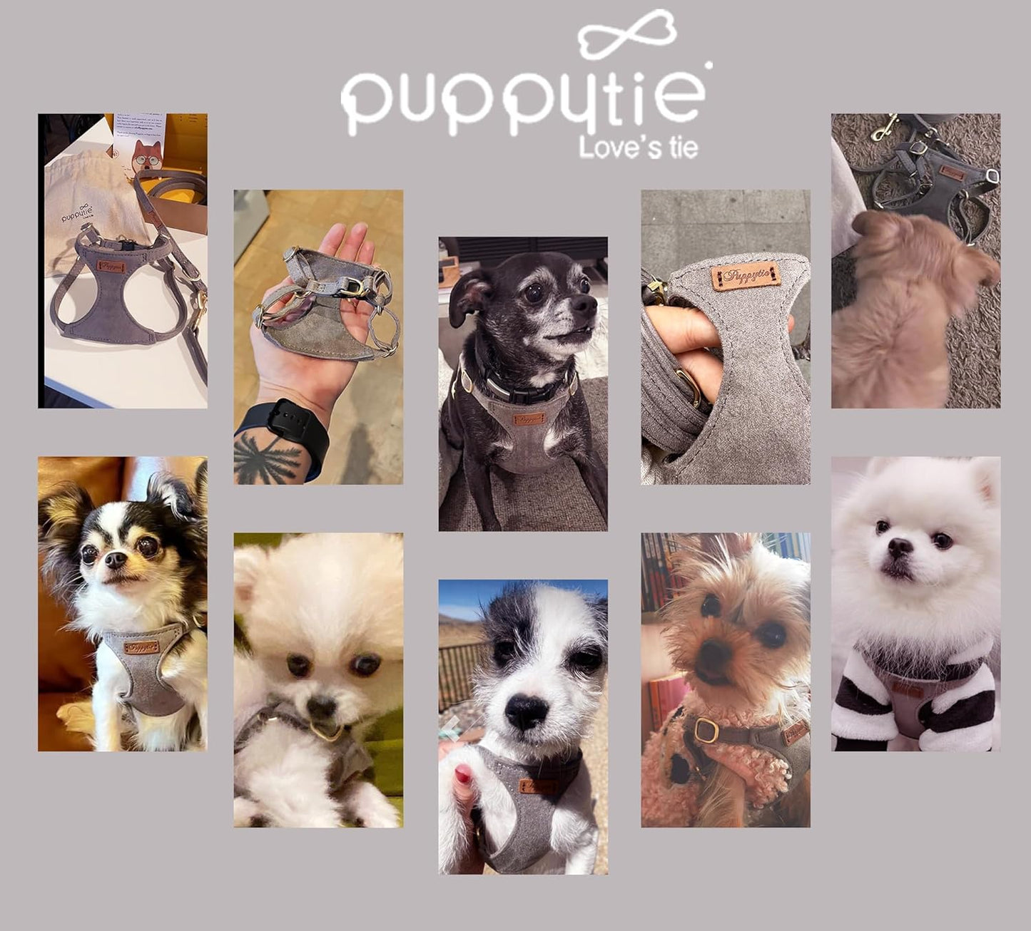 Puppytie No Pull XXS Puppy Harness with Multifunction Dog Leash,Soft Adjustable No Choke Escape Proof Pet Harness Vest,Silver Grey,XXS