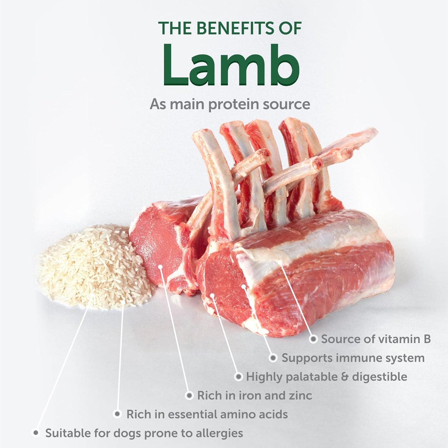 Nature's Protection Superior Care White Dogs Rice Based Dry Dog Food - High Protein, Tear Stain Dog Food for Small & Mini Breeds Light Coated Adult Dogs, Fresh Pet Meal, Lamb and Rice, 22 lb