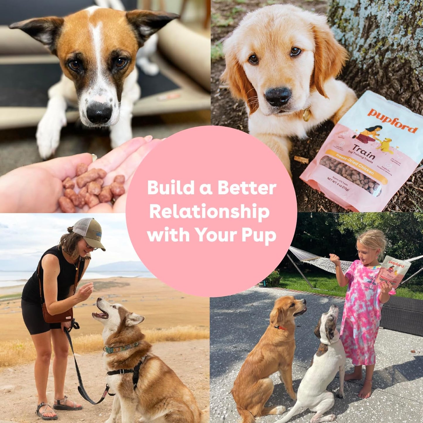 Pupford Freeze Dried Training Treats for Dogs & Puppies, 475+ Two Ingredient Bites (Chicken, 4 oz)