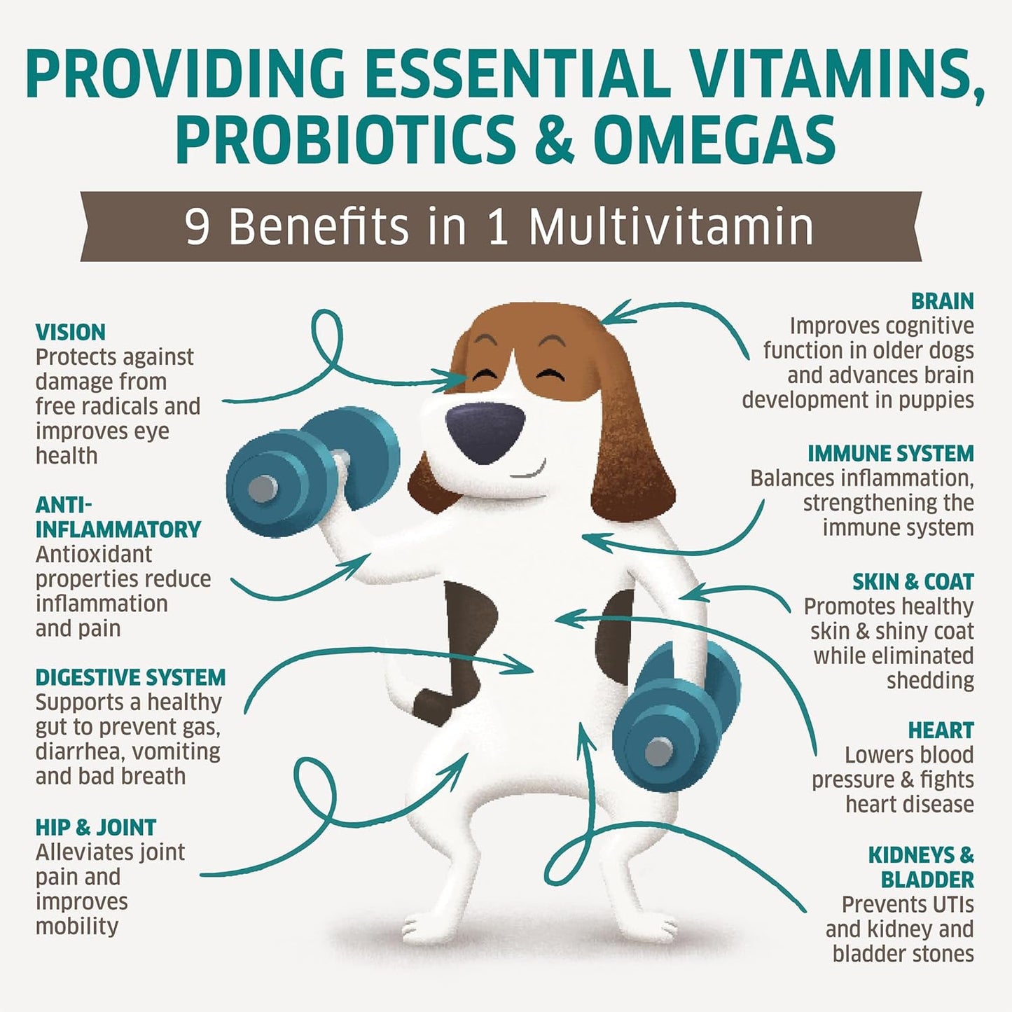 Dog Multivitamin - Dog Vitamins and Supplements - Digestive Enzymes & Probiotics - Probiotics for Dogs - for Skin and Coat Allergies - Immune System & Overall Health - 120 Soft Chew Dog Treats