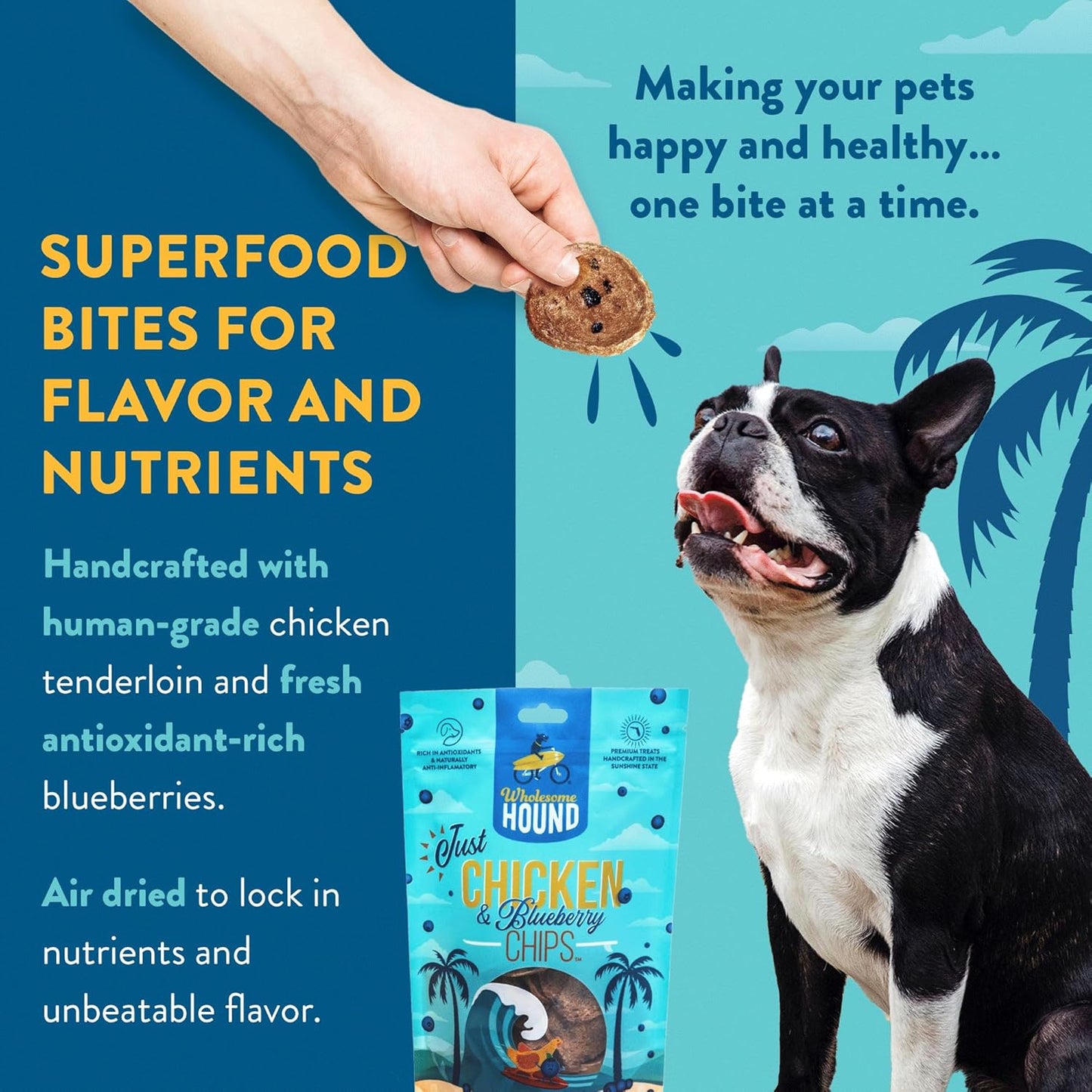 Chicken & Blueberry Chips – 2 Simple Ingredient Dog Treats, All Natural & Healthy Training Snacks for Small, Medium & Large Breeds, Puppies – High Protein, Made in USA, 7oz