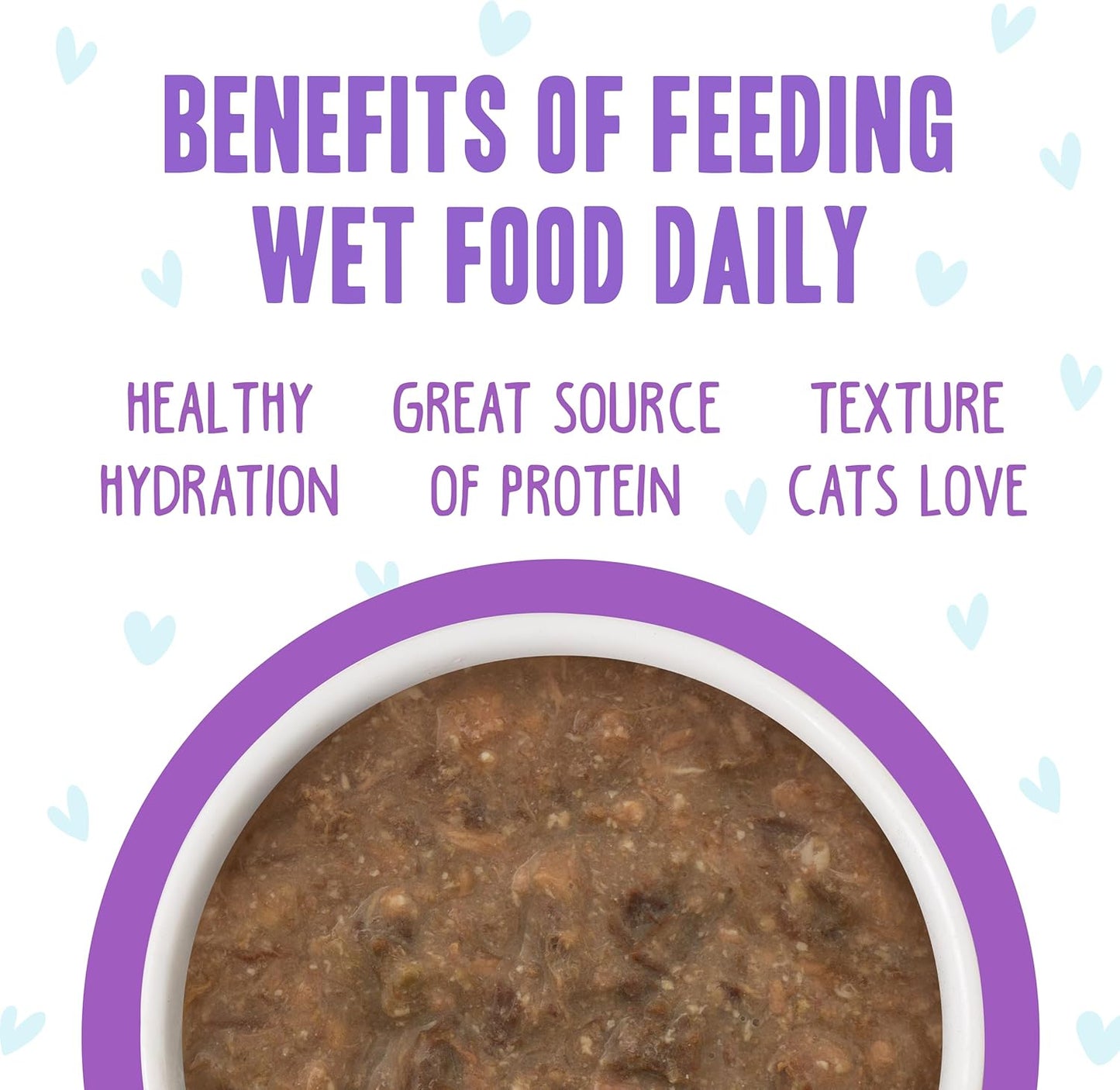 Weruva B.F.F. OMG - Best Feline Friend Oh My Gravy!, Best Day Eva! with Beef & Salmon in Gravy Cat Food, 2.8oz Can (Pack of 12)