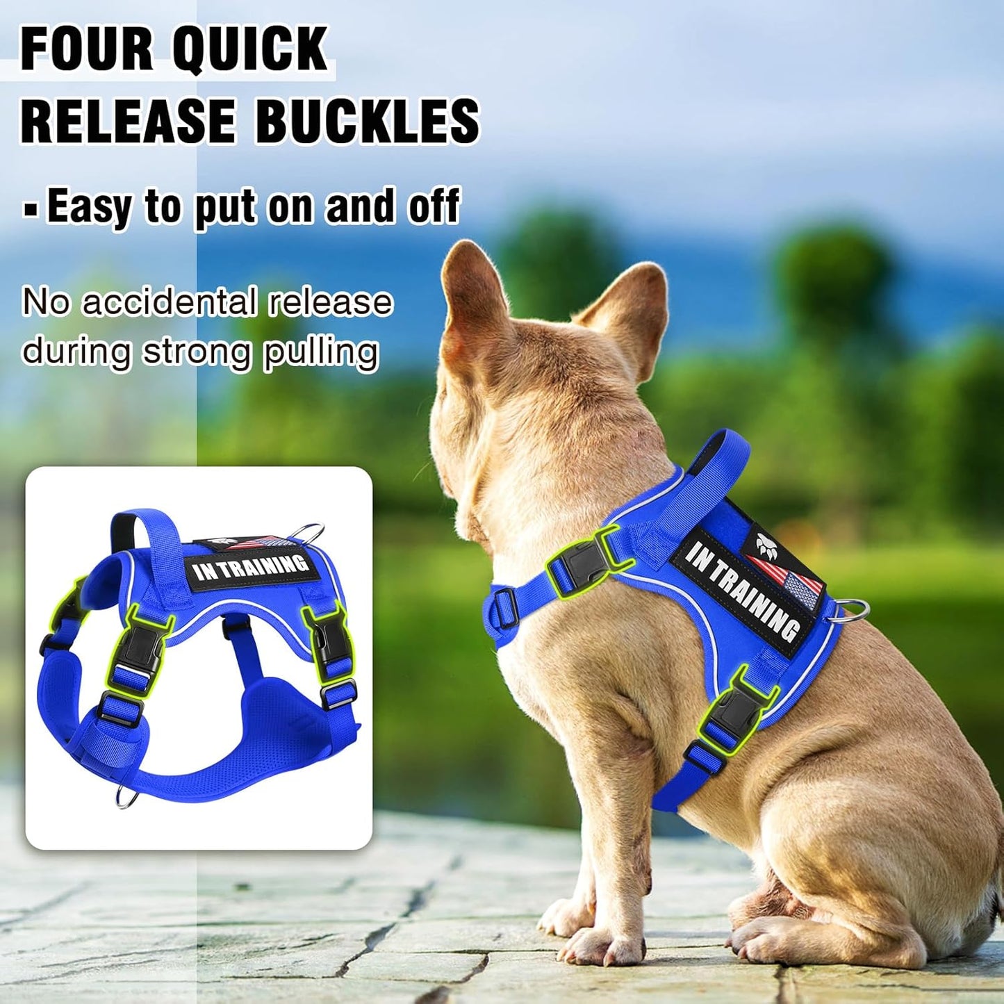 WINSEE Service Dog in Training Harness with 5 PCS Patches, Reflective Tactical Dog Vest Harness, Adjustable Soft Oxford Pet Harness with Easy Control Handle, Hook & Loop Panels for Walking Hiking