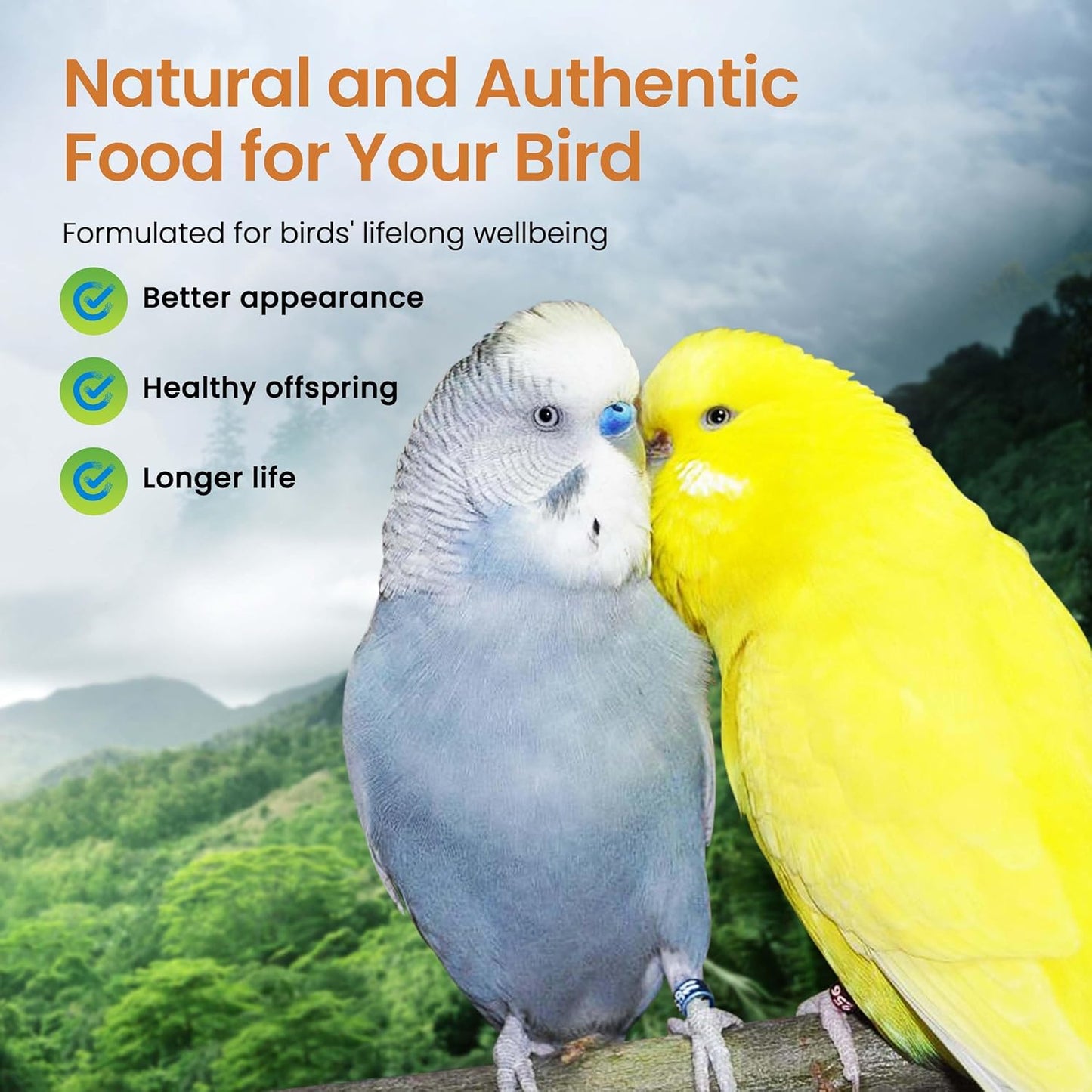 Harrison's High potency Mash 1 Lb