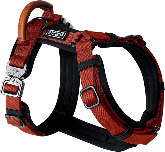 MADE TO ROAM Premium Explorer Harness - Y-Shaped Dog Harness with Adjustable Durable Nylon, Soft Padding, Metal Buckles and Leather Handle for Small, Medium, Large Dogs (Texas Flair, Size 2)