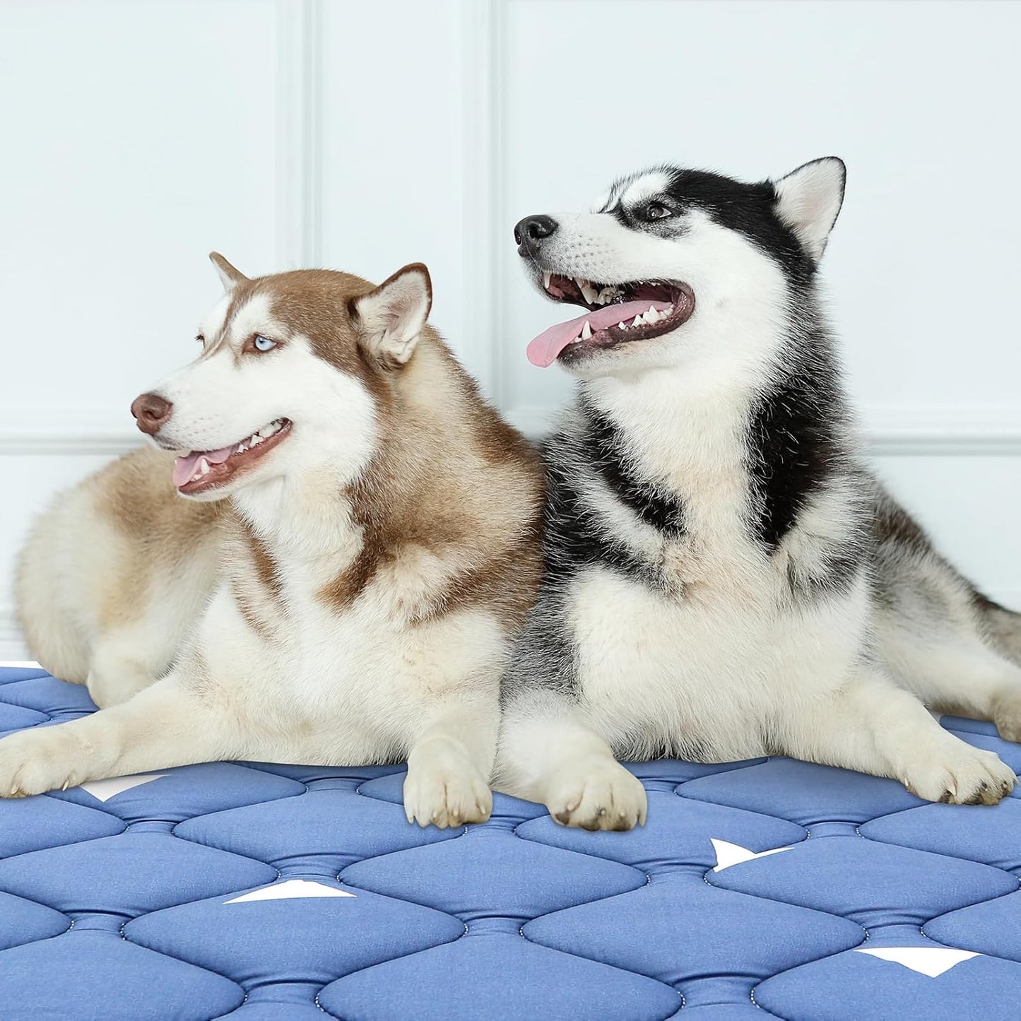 Dog Crate Mat, Ultra Soft Dog Bed Mat for Sleeping with Anti-Slip Bottom, Washable Kennel Pad for Large Medium Small Dogs Breeds with Cute Prints and Dark Colored to Hide Stains (52" X 28")