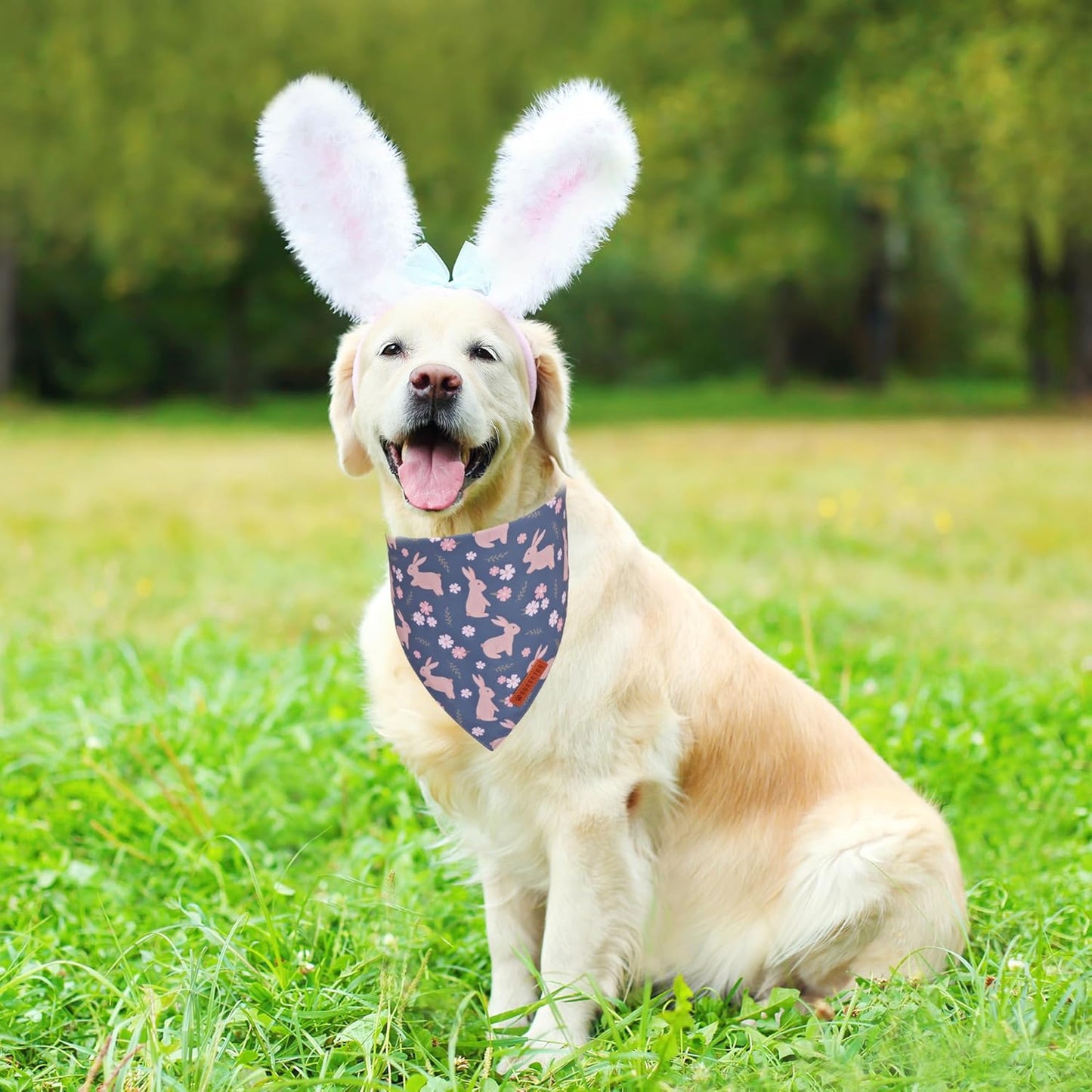 ADOGGYGO Easter Dog Bandanas, Reversible Bunny Floral Pet Scarf, Multi Size Offered, Rabbit Easter Bandana for Large and Extra Large Dogs Pets (X-Large)