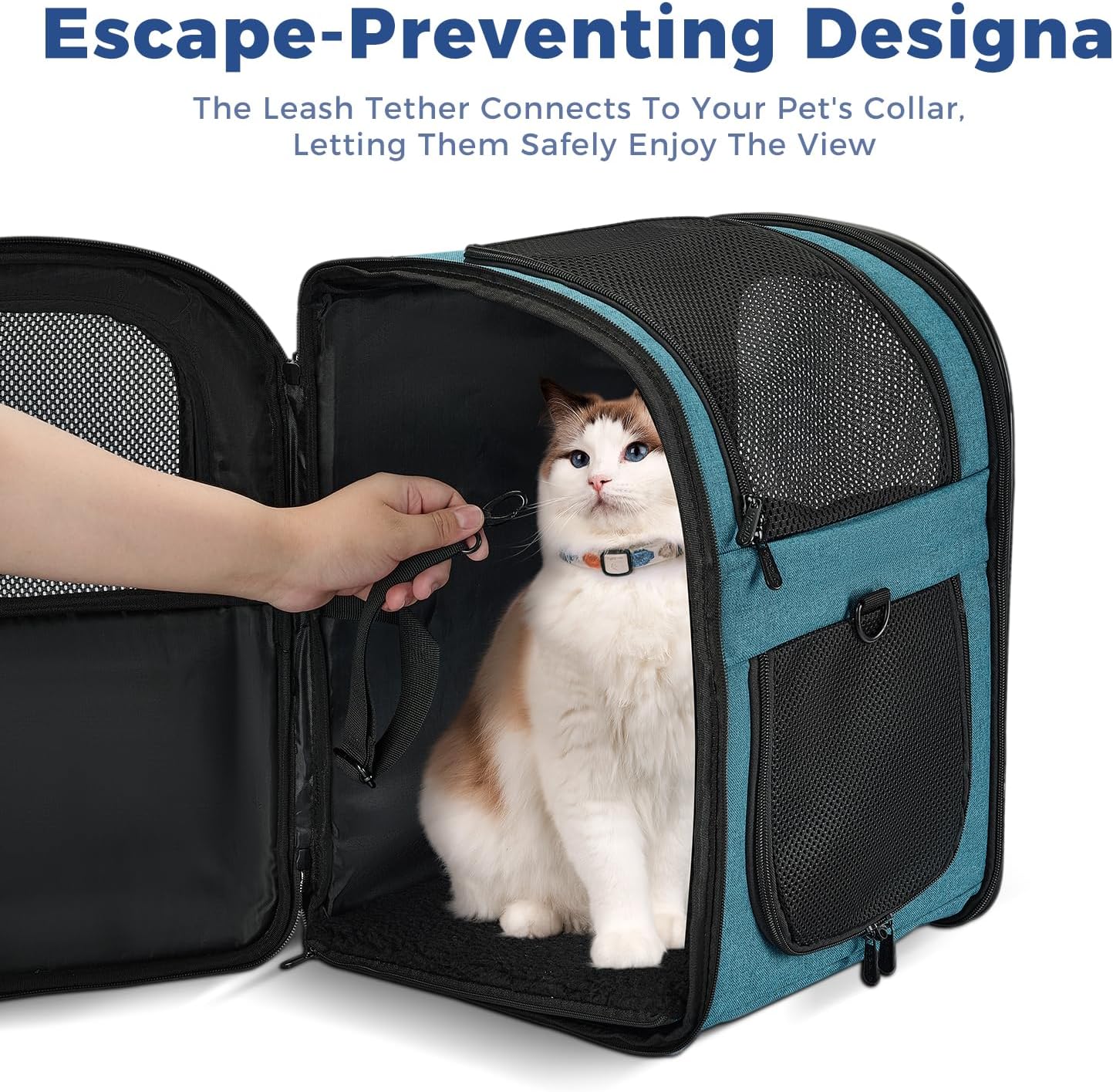 Apollo Walker Dog & Cat Carrier Backpack for 4-15lb Pets - Ventilated Safe Design with Padded Back Support, Breathable Mesh Pet Backpack for Hiking, Travel, Outdoor (Teal)