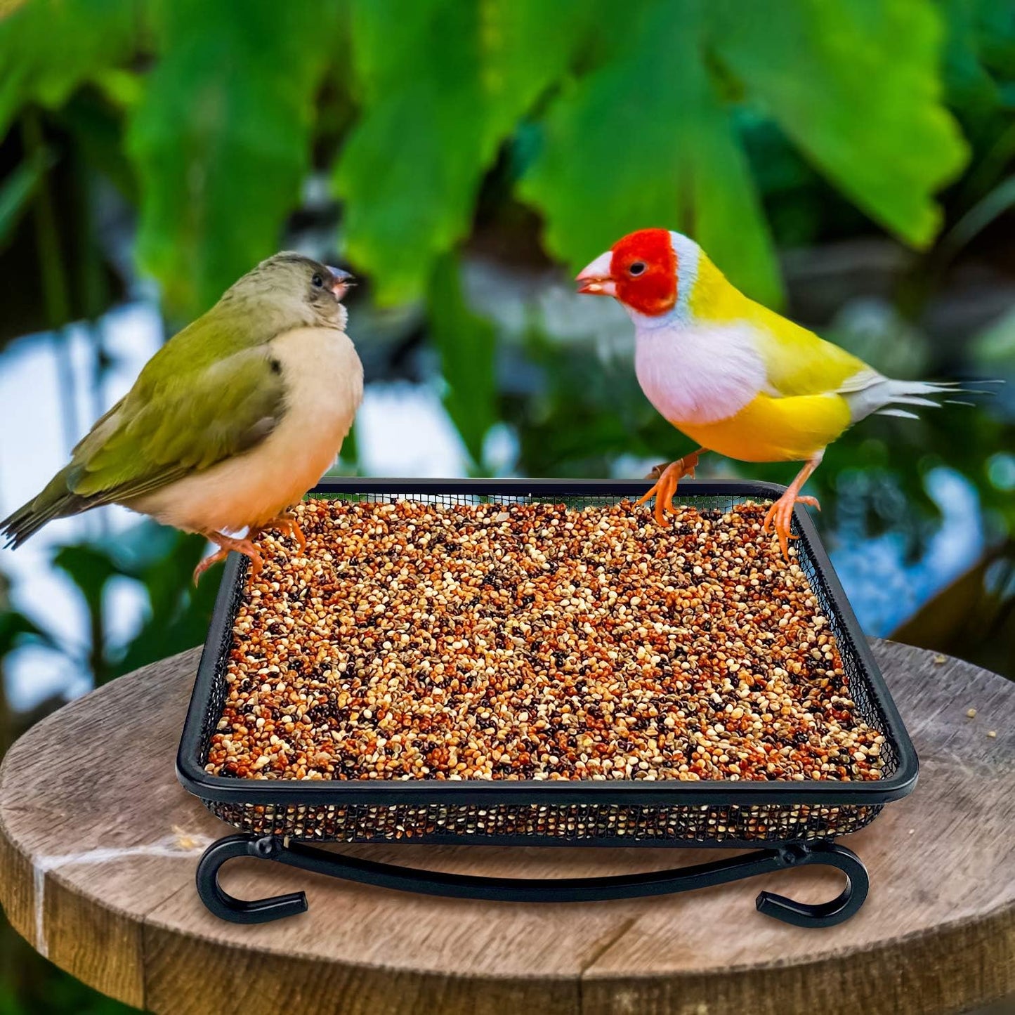MIXXIDEA Ground Platform Bird Feeder Metal Seed Tray for Outside Garden Wild Bird Feeders with Drainage Holes Great Attracting for Birds and Squirrels, Wonderful Decoration for Backyard – Pack of 2
