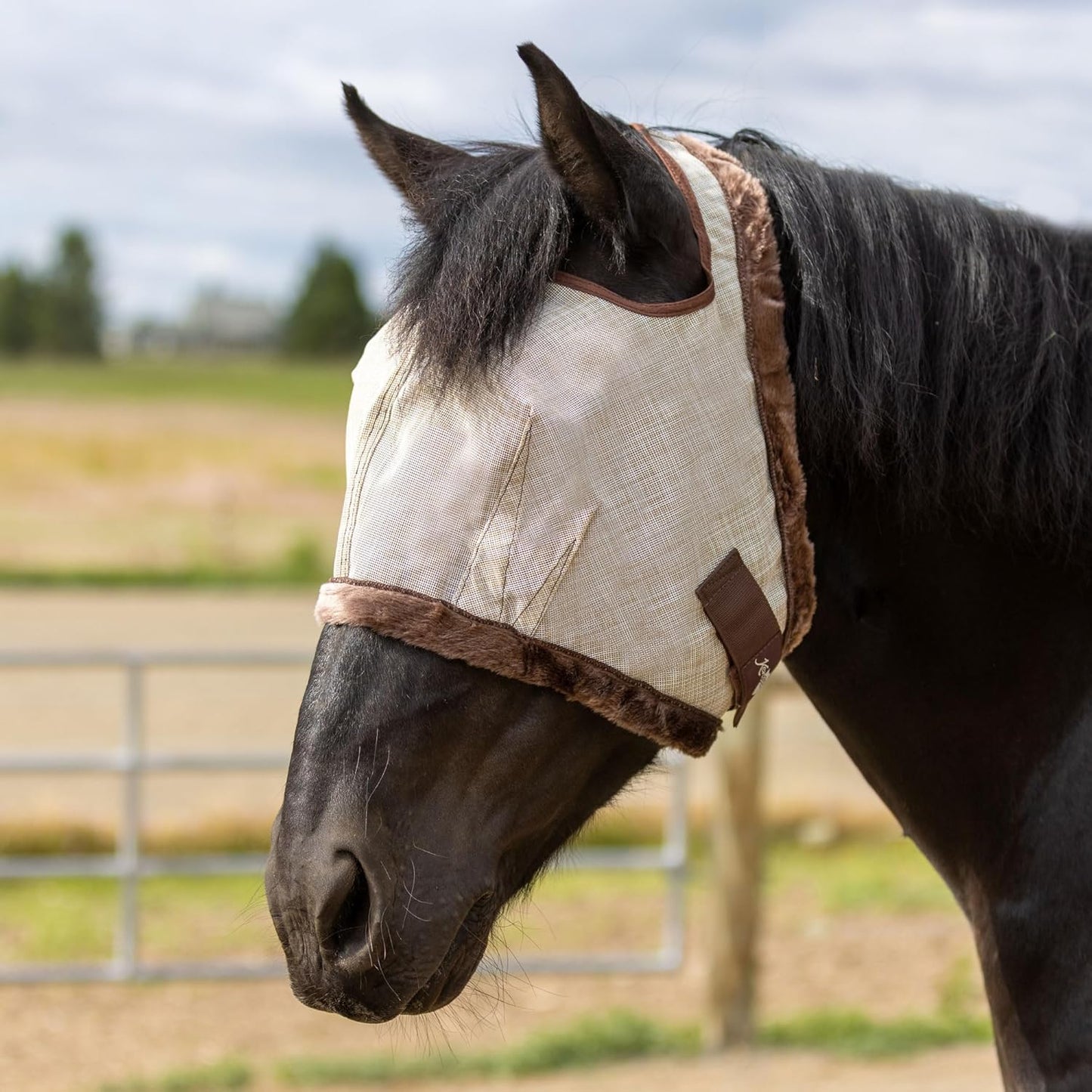 Kensington Fly Mask with Fleece Trim for Horses — Protects Face and Eyes Helps Block Sun Rays While Allowing Full Visibility — Breathable and Non Heat Transferring