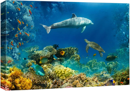 wall26 Canvas Print Wall Art Tropical Ocean Underwater Dolphin Coral Reef Nature Animals Photography Realism Rustic Scenic Landscape Wilderness Colorful for Living Room, Bedroom, Office - 12"x18"