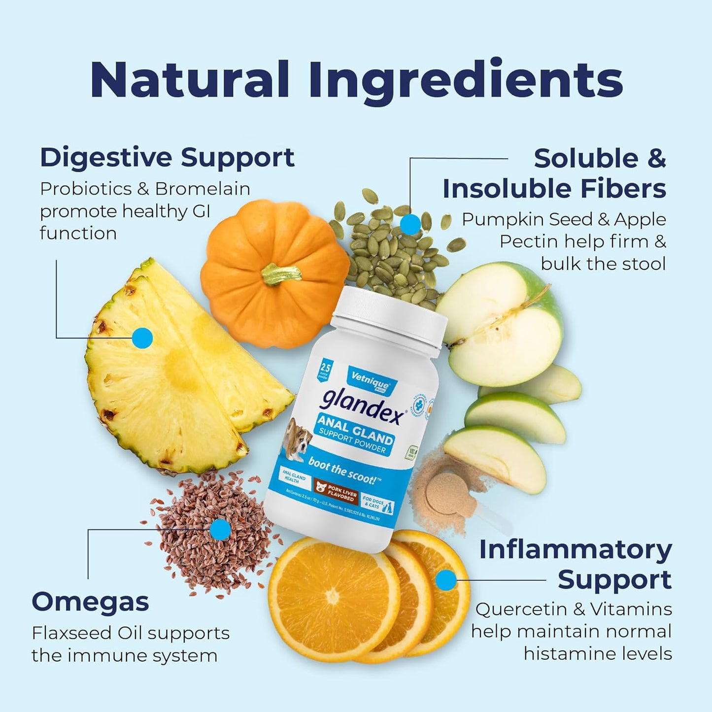 Vetnique Labs Glandex Dog Fiber Supplement Powder for Anal Glands with Pumpkin, Digestive Enzymes & Dog Probiotics for Digestive Health - Vet Recommended - Boot The Scoot (Pork Liver, 2.5oz Powder)