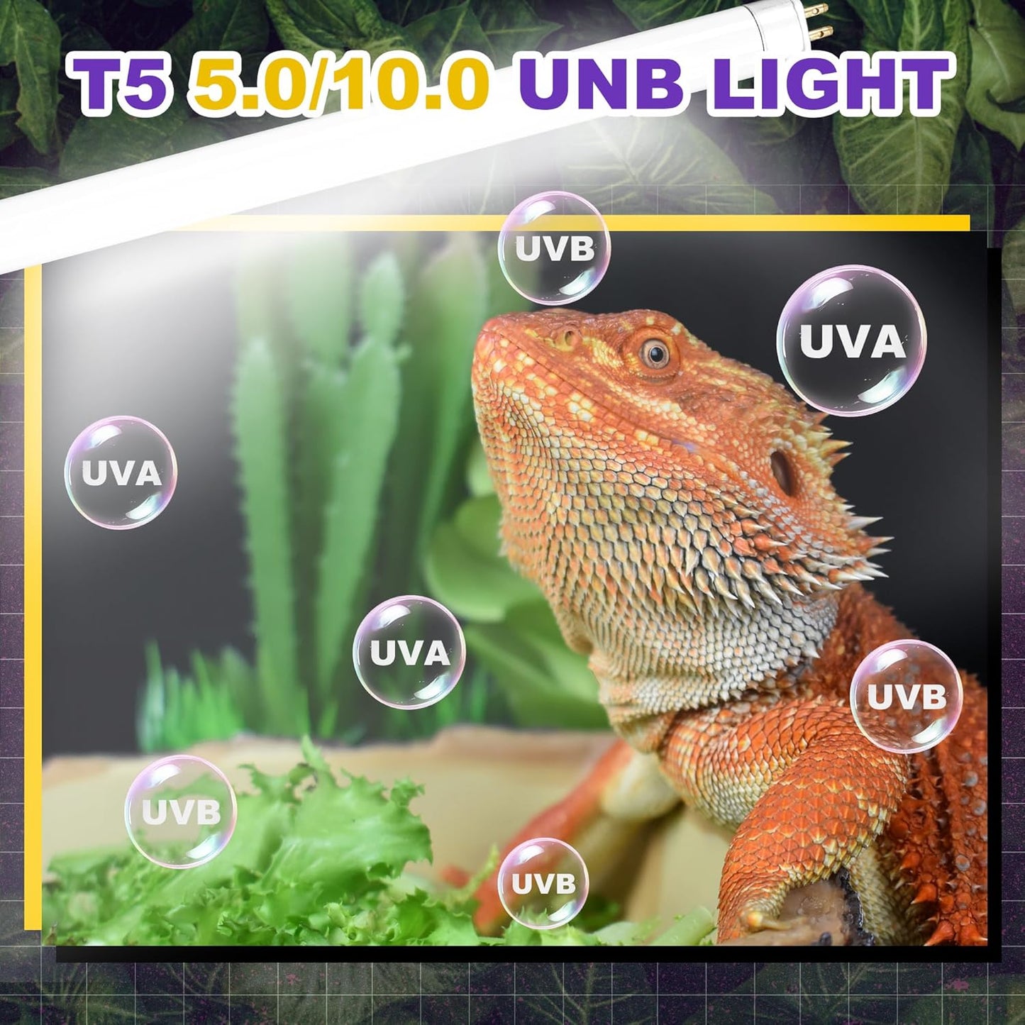 5.0 UVB Light for Reptiles, T5 HO 8 Watt Reptile Lamp Tube, Pack of 2 Fluorescent UVB Bulb, Basking Light for Bearded Dragon, Simulate Natural Sunlight for Reptiles and Amphibians