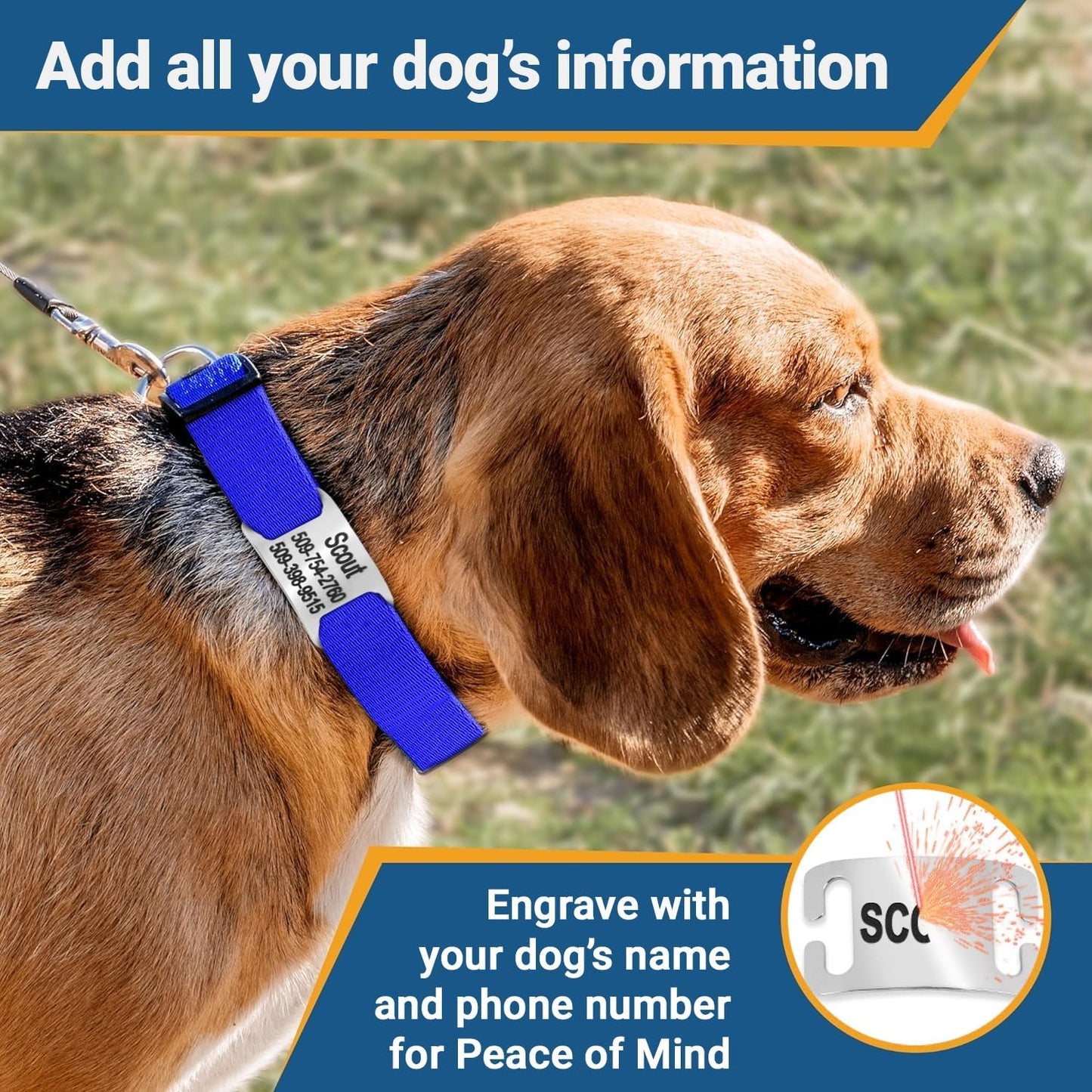 GoTags Reflective Personalized Dog Collar with Nameplate, Adjustable Dog Collar with Custom Engraved Steel Slide On Pet ID Tag, Silent, No Noise Dog Tag for Large Medium or Small (Lavender, Medium)