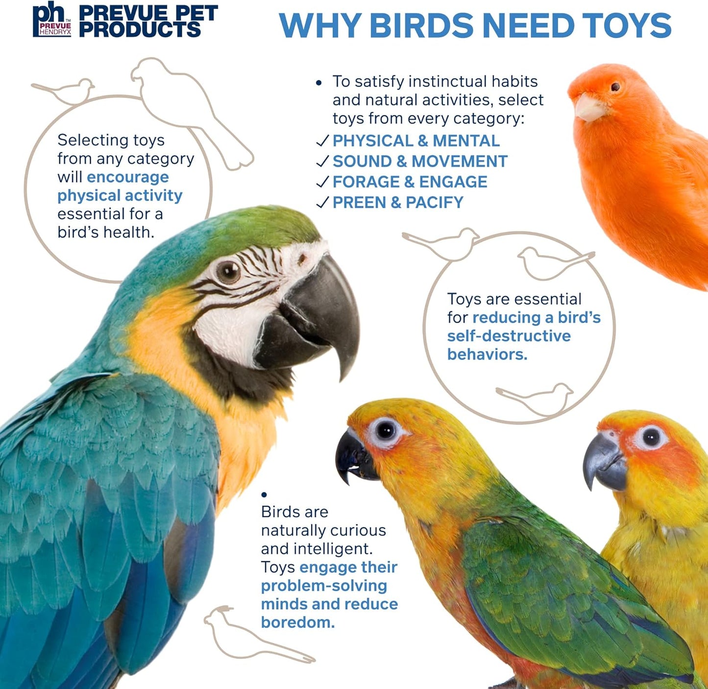 Prevue Pet Products Preen & Pacify Calypso Creations Braided Bunch Bird Toy 62669