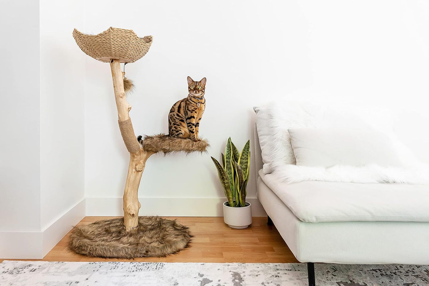Wooden Cat Tree Tower, Modern Single Branch Cat Condo, Wood Cat Tree, Cat Climbing, Furniture for Cat, Cat Lover Gift, Cat Furniture,Cat Gift by MAU LIFESTYLE (Brown)