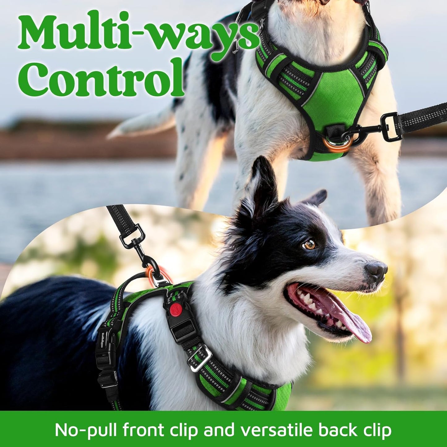 rabbitgoo Dog Harness for Large Dogs, No Pull Pet Vest with 3 Buckles, Adjustable Soft Padded Pet Harness with Easy Control Handle and Reflective Strips, Green, XL