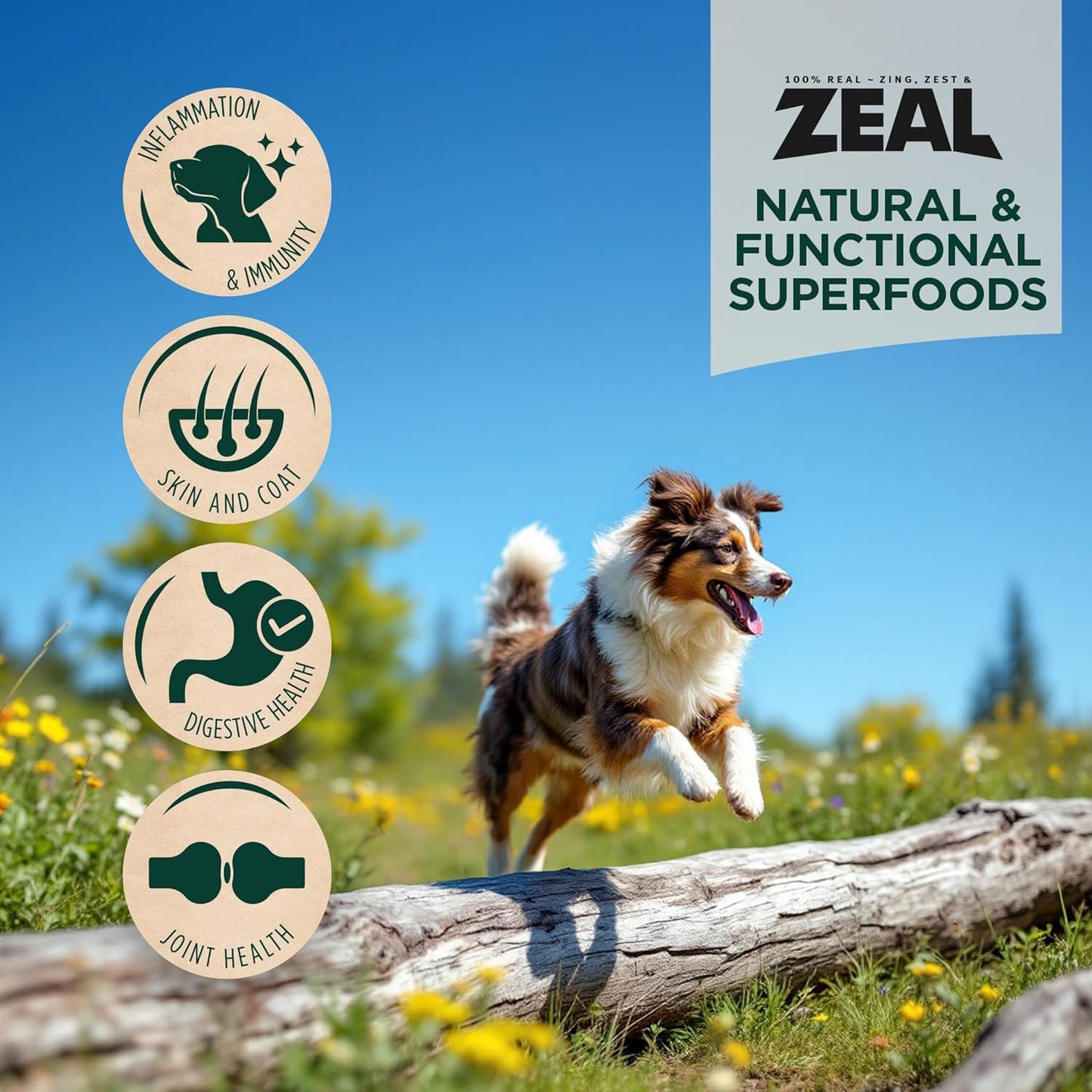 ZEAL Canada Air-Dried Chicken Recipe for Dogs - High Protein, Natural Superfoods, Nutrient Rich, No Fillers, Grain Free, Complete & Balanced (Chicken, 1 lb)