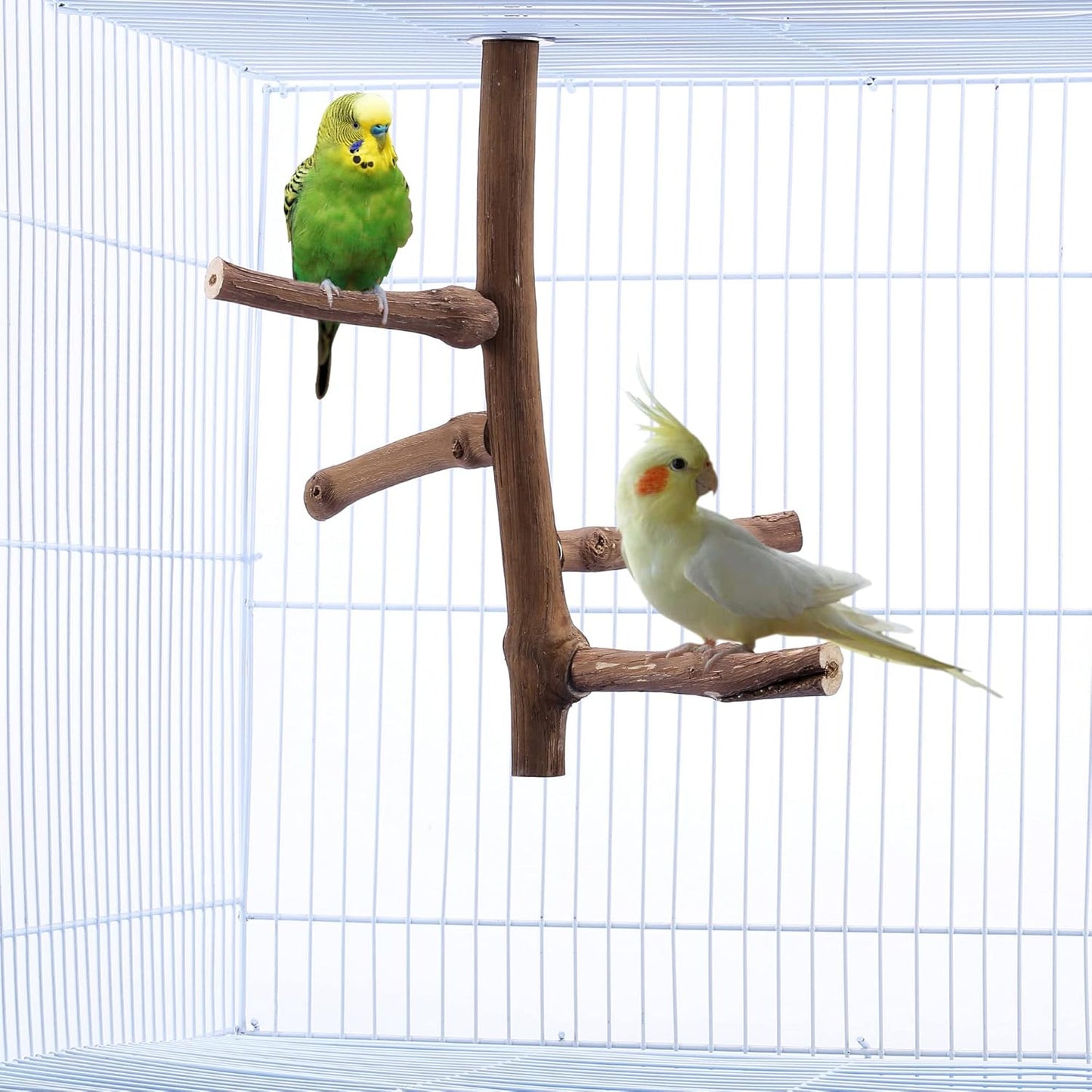 Bird Perch Stand Toy, Natural Grapevine Wood Parrot Perch Bird Cage Branch Accessories for Parakeets Cockatiels Conures Macaws Finches Love Birds(9.8" Length)