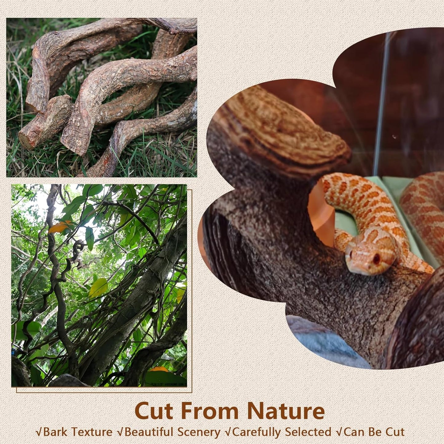 BNOSDM Reptile Climbing Branches Decor,Snake Climbing Branch,Gecko Climb Wood,Lizard Forest Branch,Tank Habitat Tree Trunk Decorations for Bearded Dragons,Chameleons,Spider,Frogs (XL)