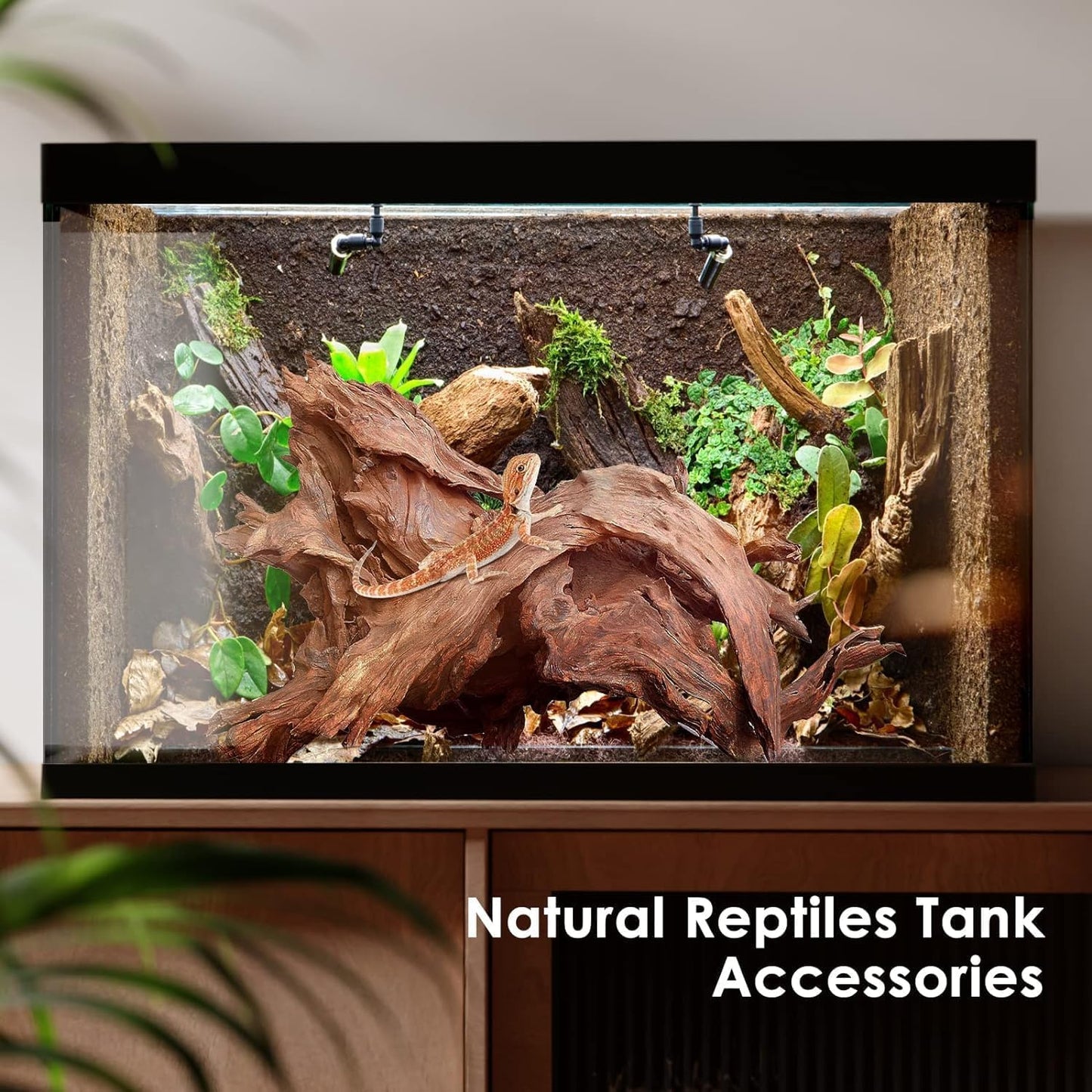 Natural Small Aquarium Driftwood for Fish Tanks & Reptile Terrariums – Safe Fish Tank Decorations, Unique Twisted Branches 10-Piece 2-4 Inch Low Tannin, Easy to Sink