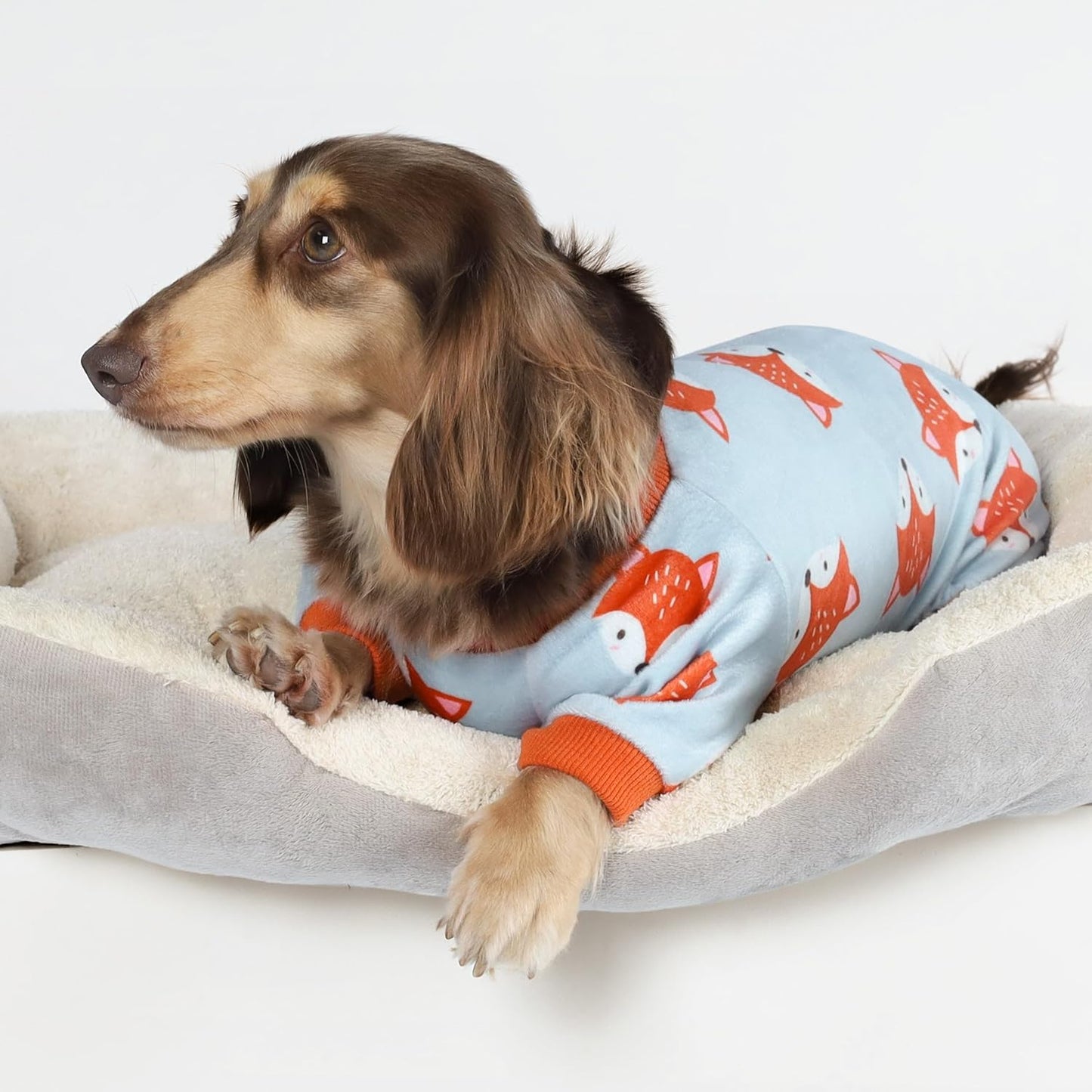 Fitwarm Funny Fox Dog Pajamas, Warm Dog Onesie, Dog Clothes for Small Dogs Girl Boy, Lightweight Velvet, Pet Outfit, Gray, Orange, XXL