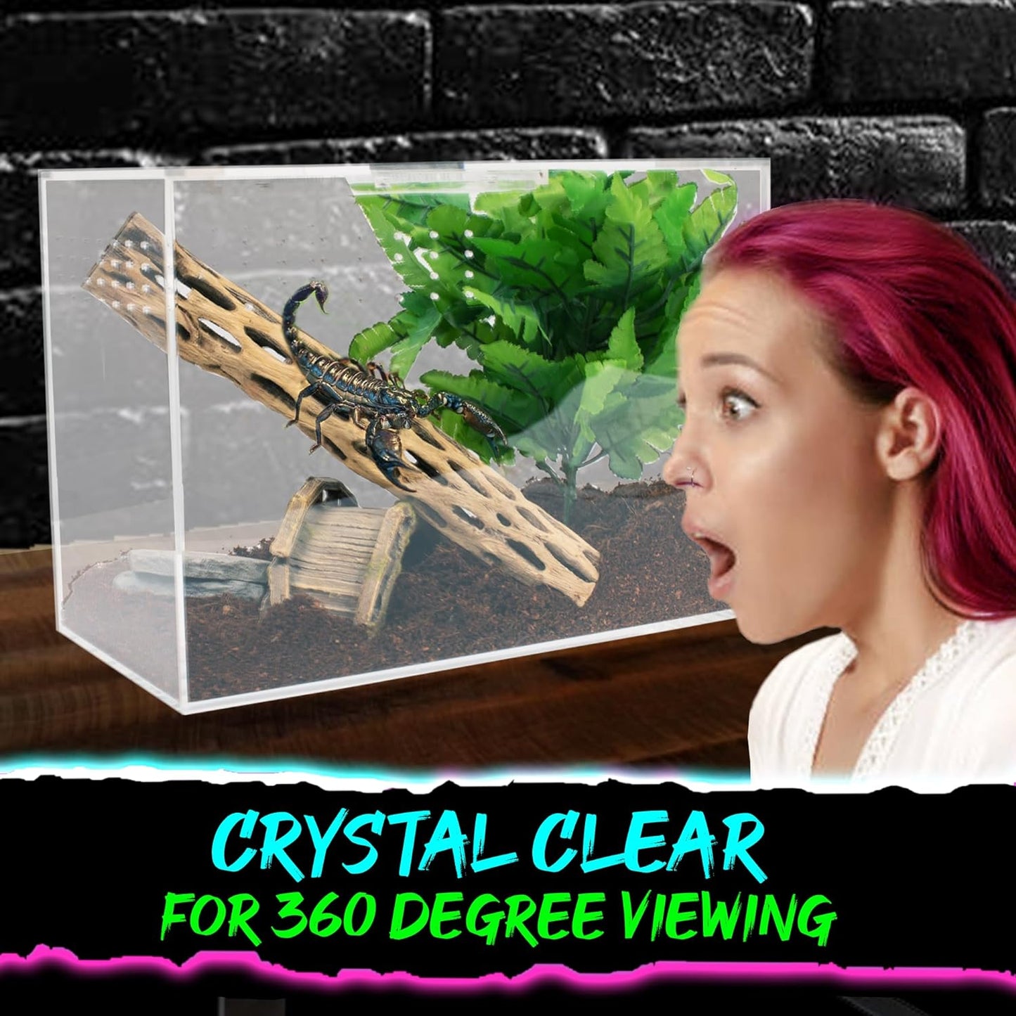 Tarantula Enclosure XL (10”x7”x14”) Reptile Terrarium w/Sliding Magnetic Door-Great Reptile Tank for Terrestrial or Arboreal Animals- Acrylic Terrarium for Juvenile or Adult Spiders- Hermit Crab Cage