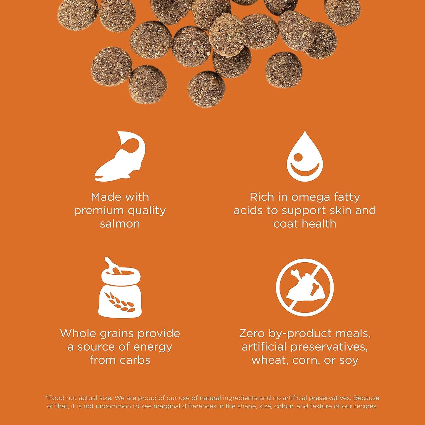 Go! Solutions Skin + Coat Care, Dry Dog Food, Salmon Recipe with Grains, 22 lb Bag