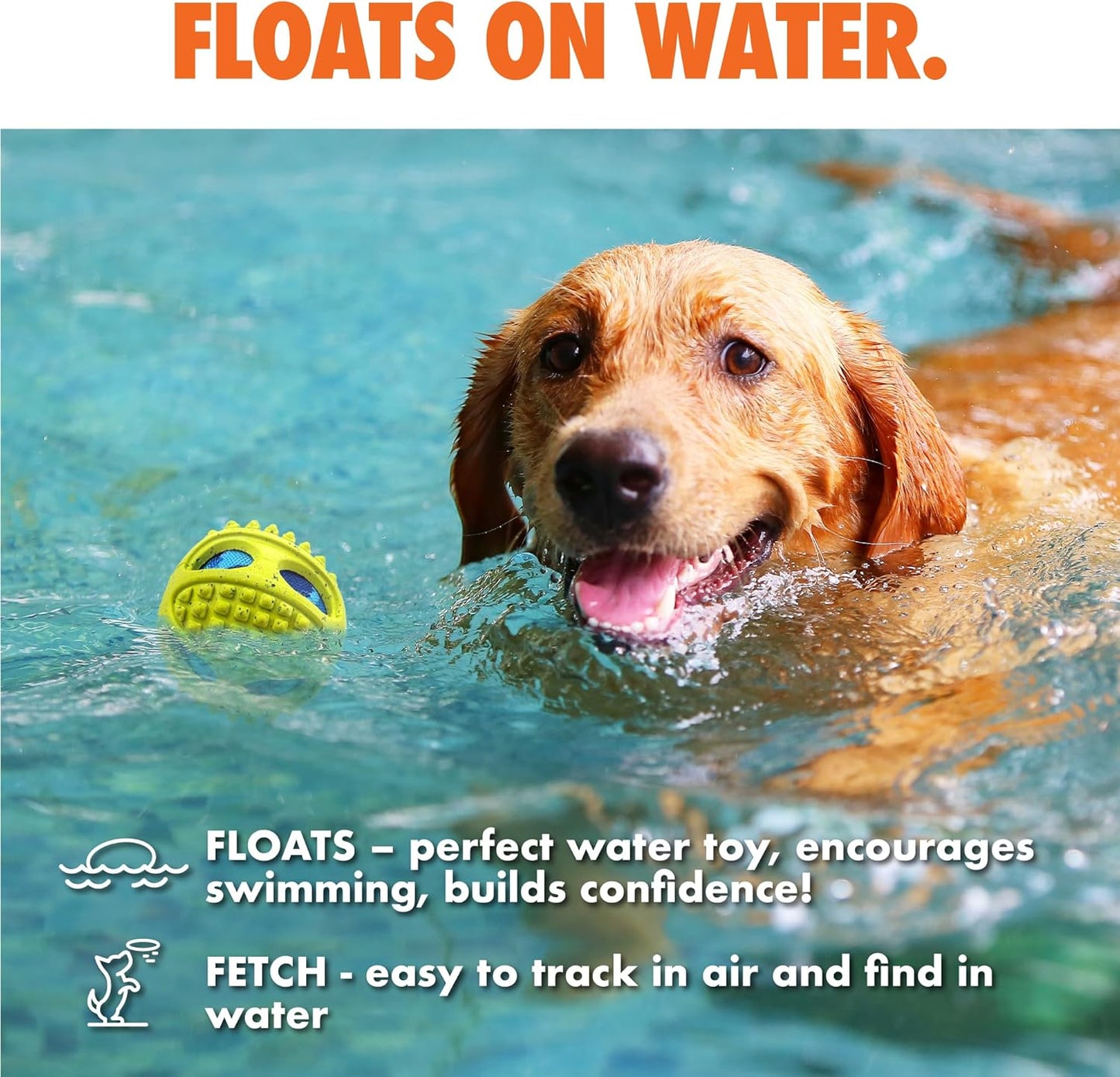 Max Fusion with Nike Grind, Arlee Meteor Dog Toy, Chew Toy for Play, Fetch, Tug, M