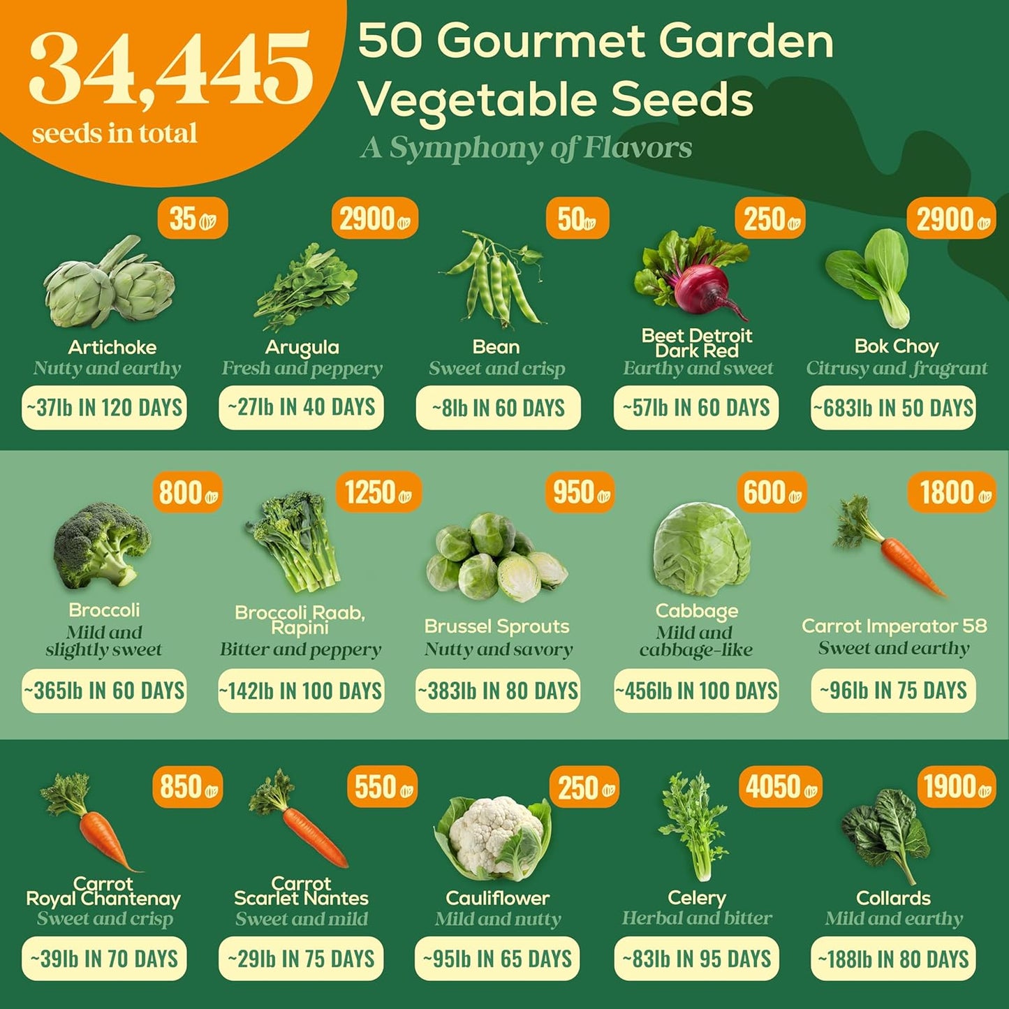 50 Gourmet Garden Vegetable Seeds Variety Pack - 34,455+ Non-GMO Heirloom Vegetables Seeds for Planting Indoor Outdoor: Broccoli, Carrot, Onion, Lettuce, Pepper - Gardening Seed Packets