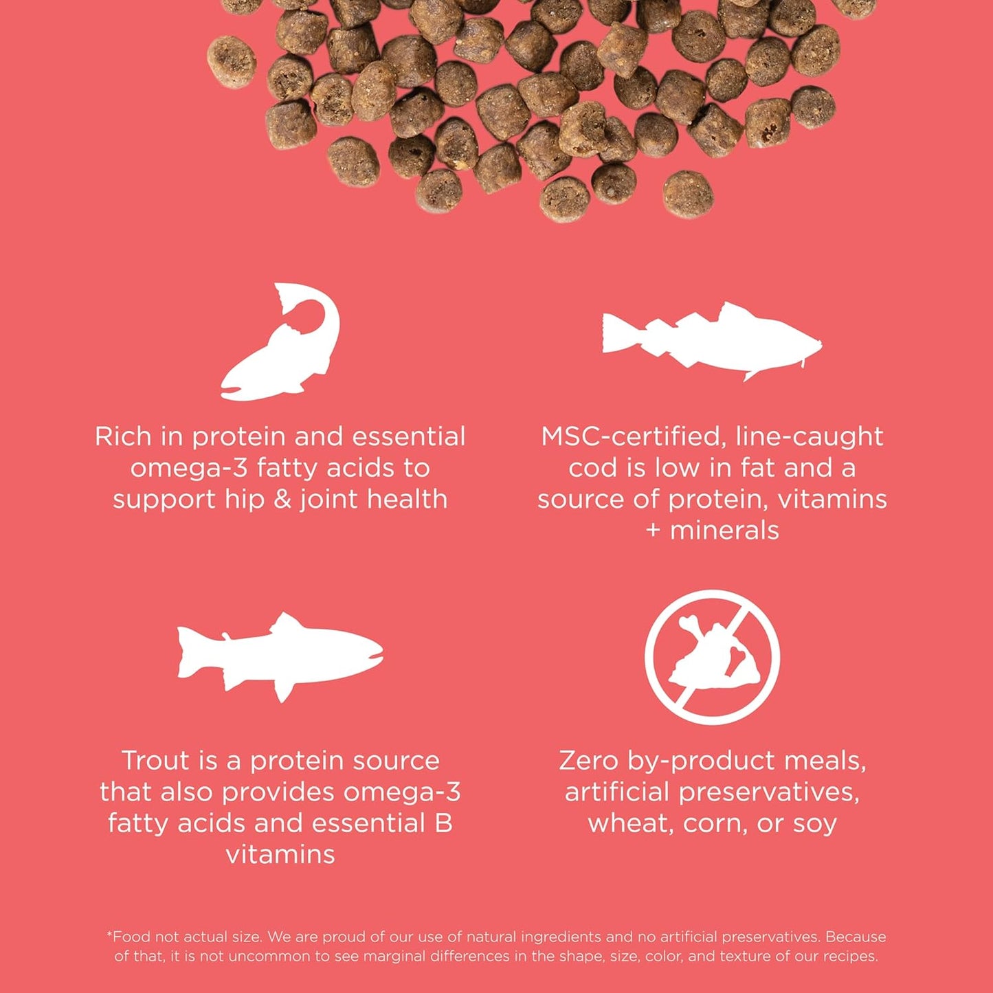 Go! Solutions Carnivore, Grain-Free, Protein Rich Dry Cat Food, Salmon and Cod Recipe, 16 lb Bag