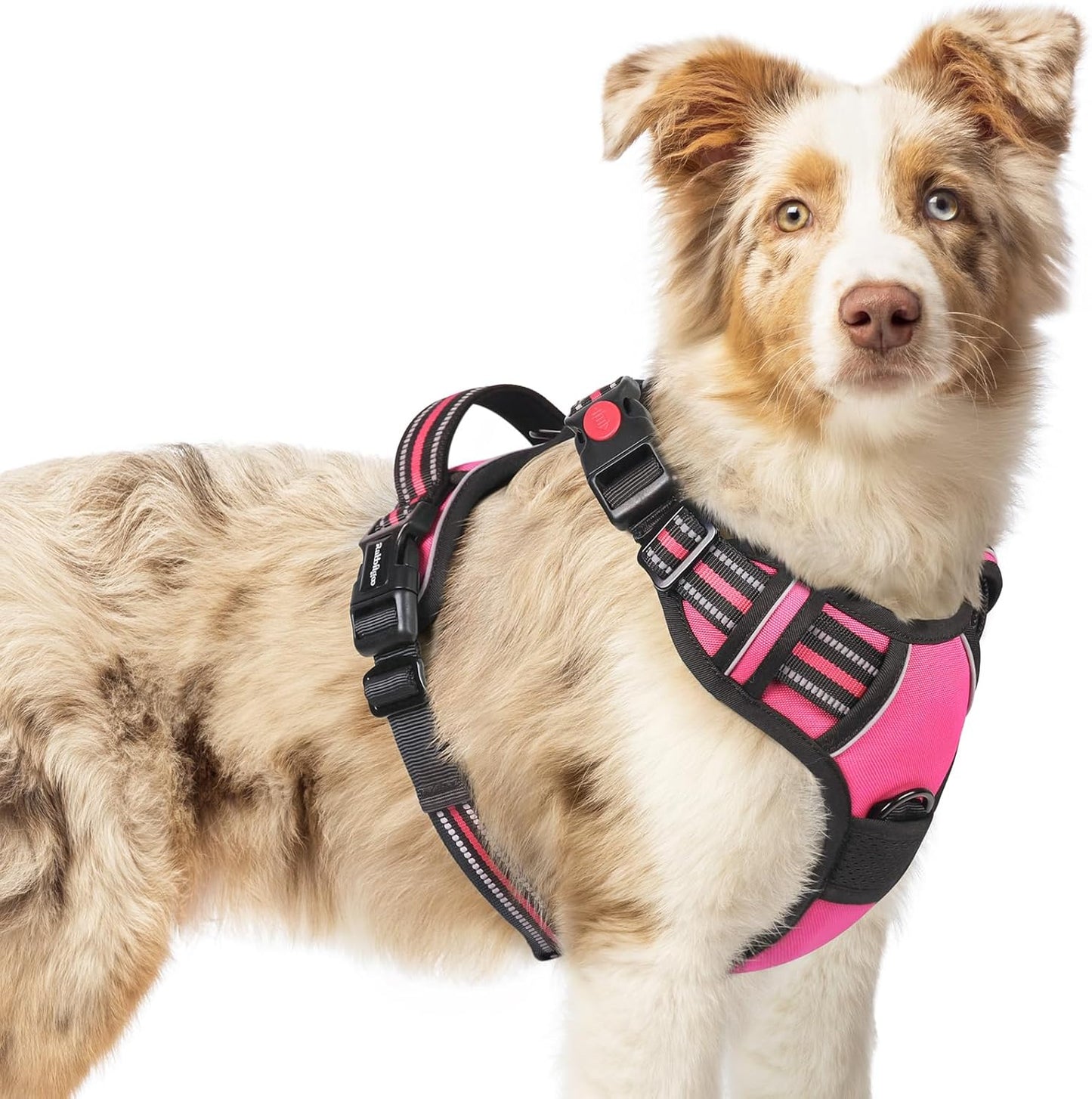 rabbitgoo Dog Harness Medium Sized, No Pull Pet Harness with 3 Buckles, Adjustable Soft Padded Vest with Control Handle, Walking Reflective Pet Vest for Medium Dogs, Rose Pink, M