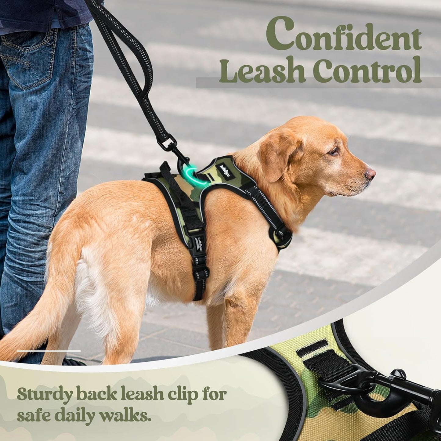 rabbitgoo Dog Harness No Pull with 2 Leash Clips, Adjustable Soft Padded, Reflective Oxford No Choke Pet Vest with Easy Control Handle for Large Dogs, Green Mountain, M
