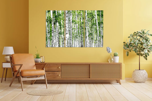 Nature Wall Art Prints - Ocean Forest Mountain Lake Canvas Landscapes - Small to Extra Large Living Room Bedroom Kitchen Bathroom Décor (Green Brich Trees, 55L" x 83W"- 3 Panels)