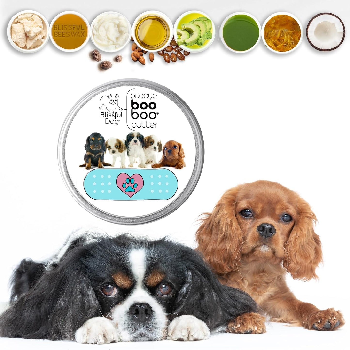 The Blissful Dog 8 oz TIN Cavalier King Charles Spaniel Booboo Butter